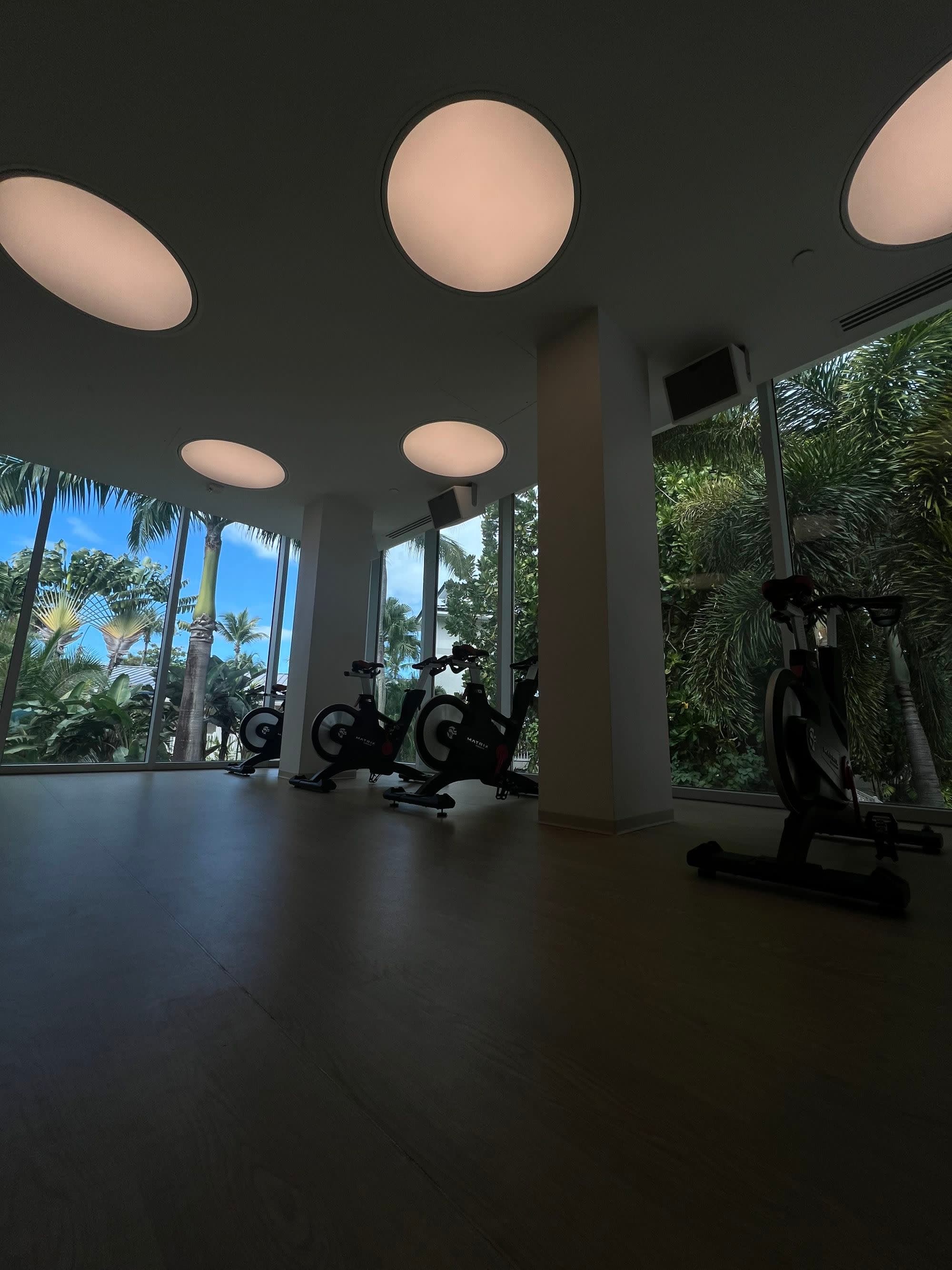 An open gym with round lights on the ceiling and palm trees outside of the window.