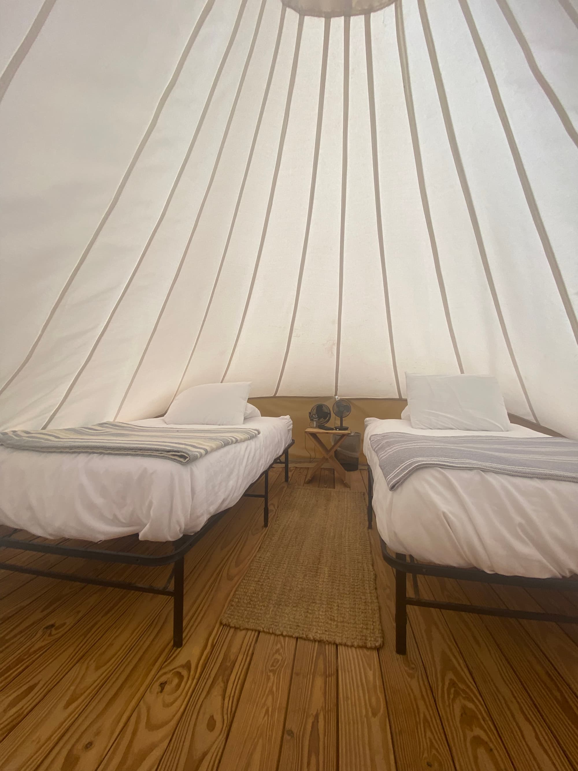 Two beds under white canvas