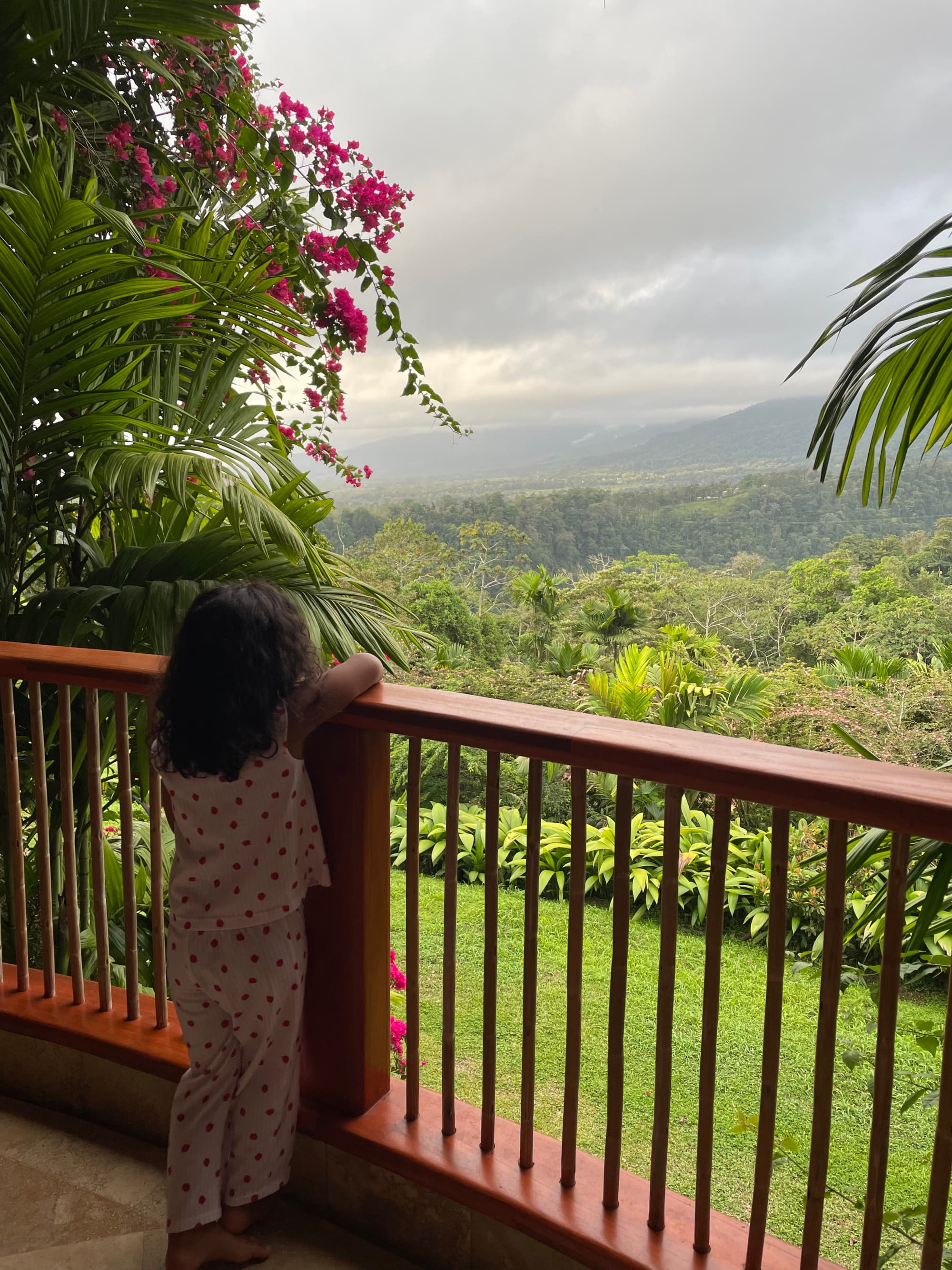 A child standing on a balcony looking out on the view