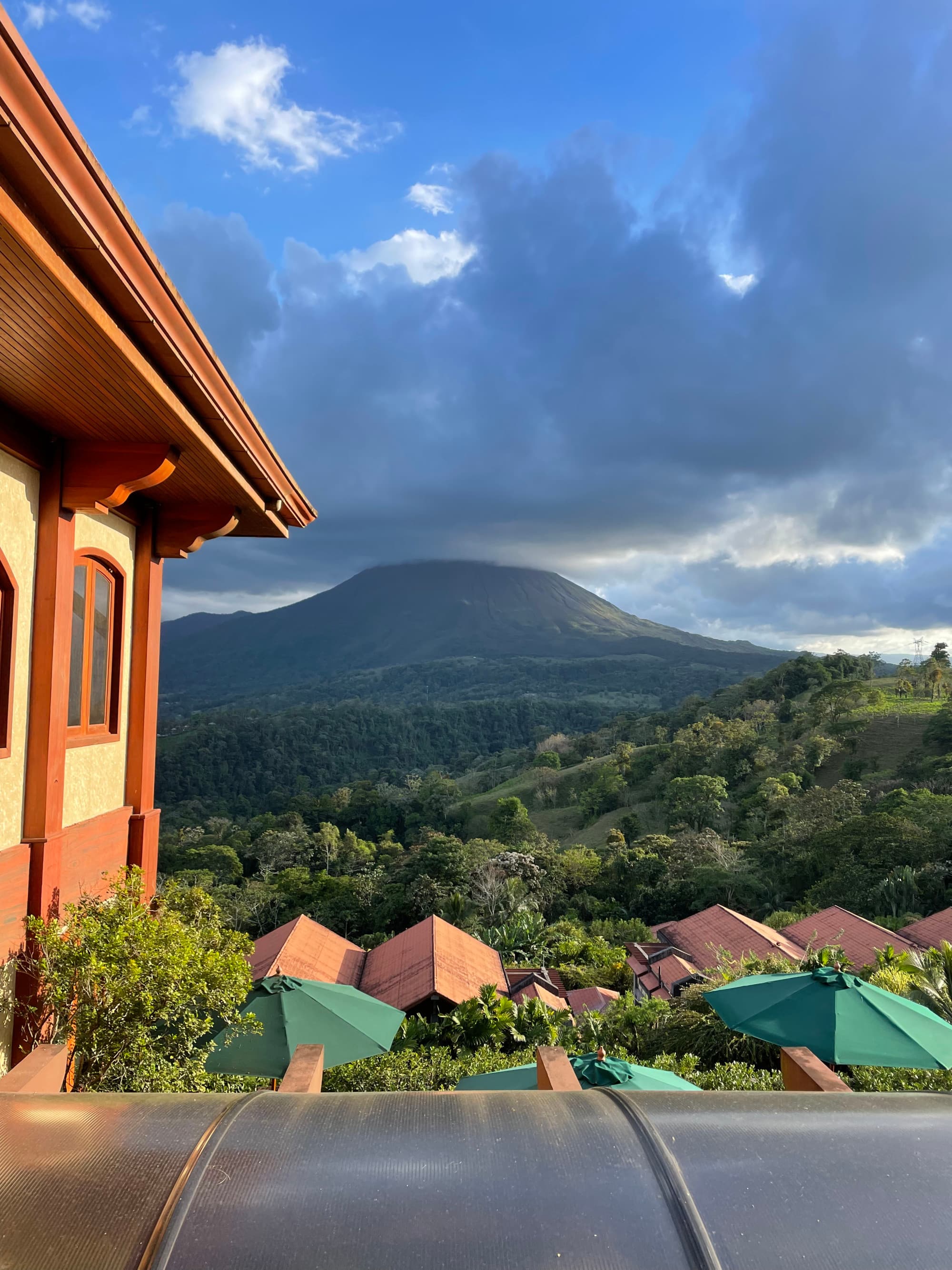 The balcony overlooking a green jungle