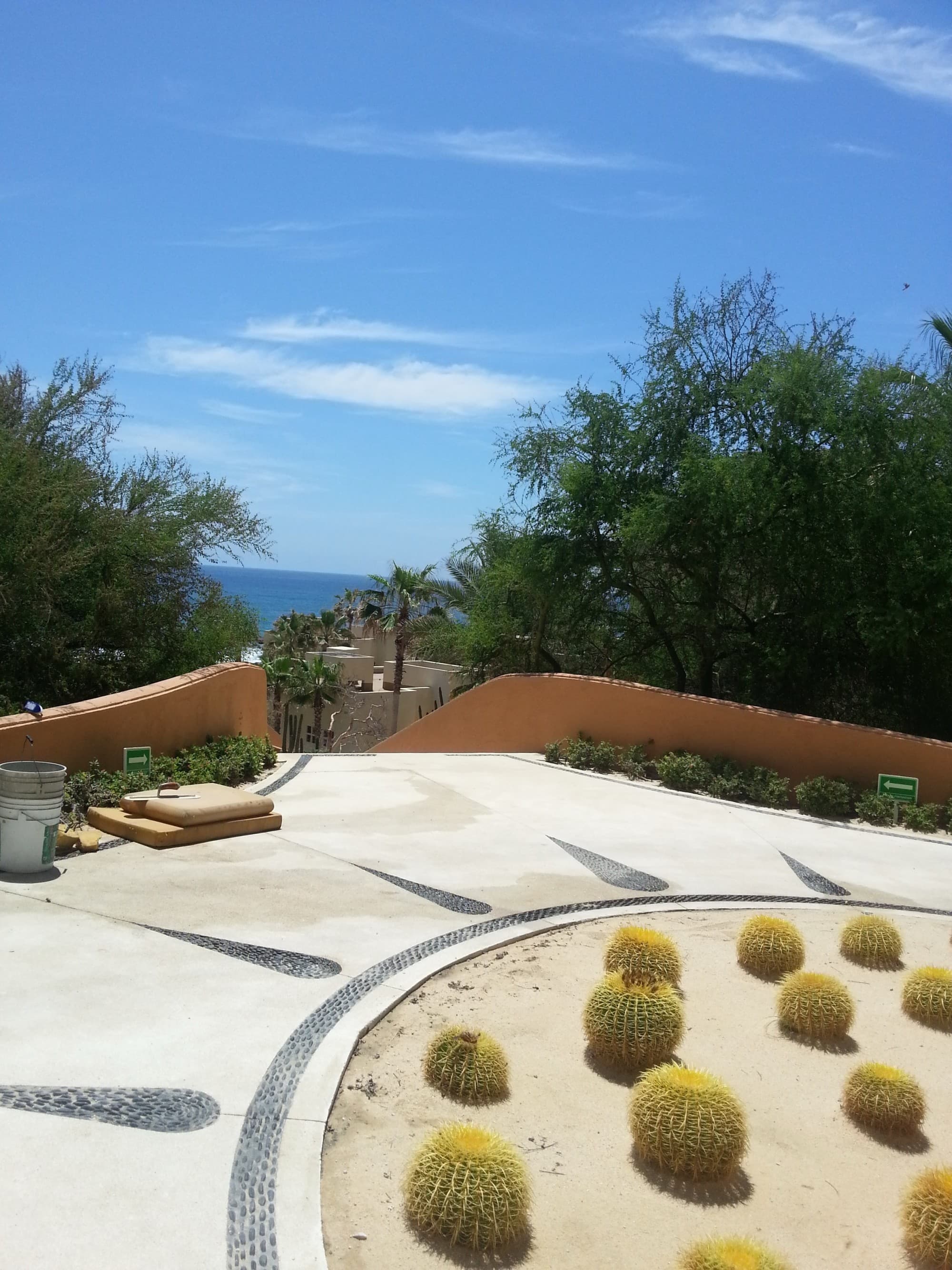 A courtyard area during the daytime