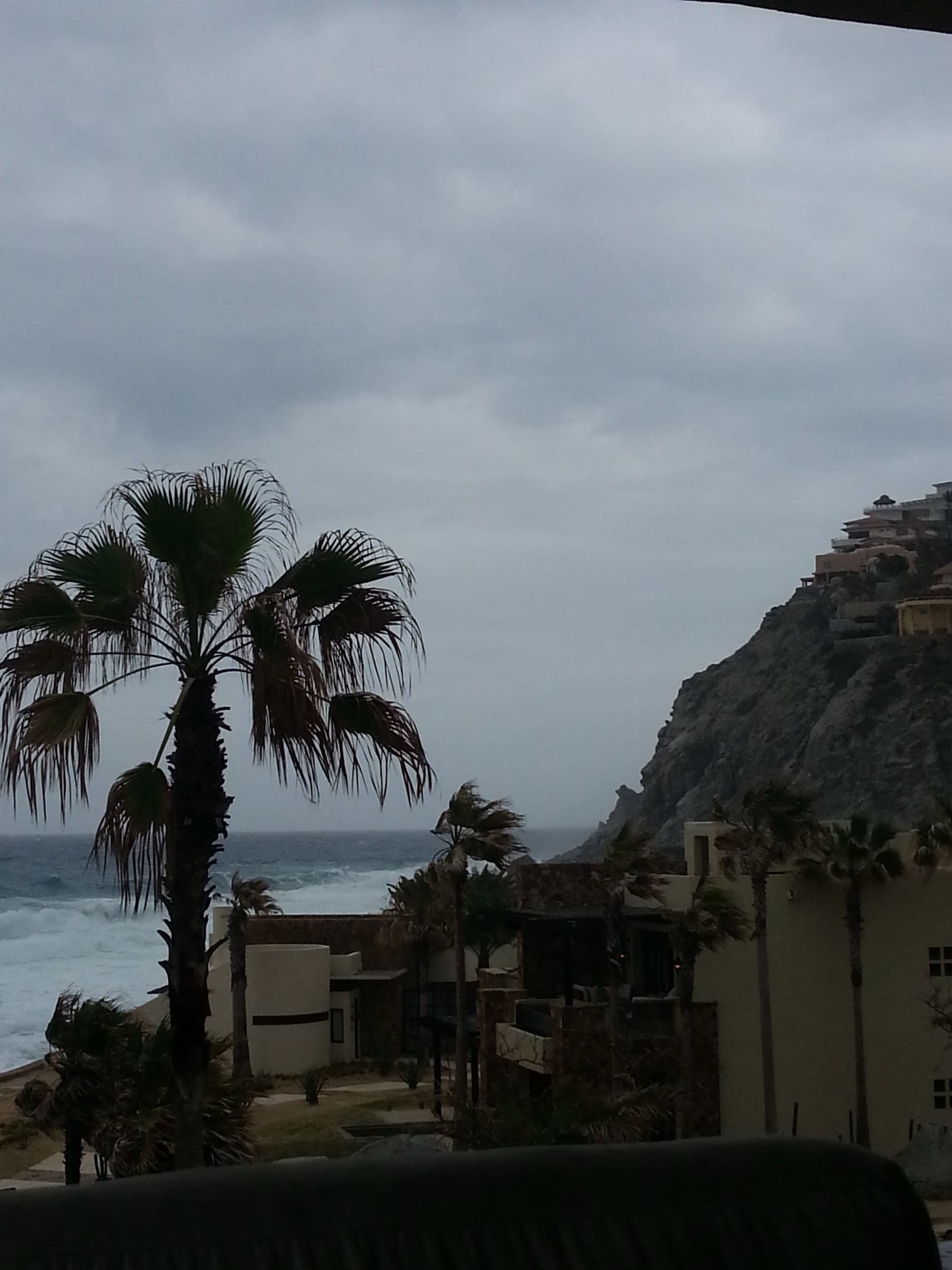 A view of the sea behind a palm tree on a very cloudy day