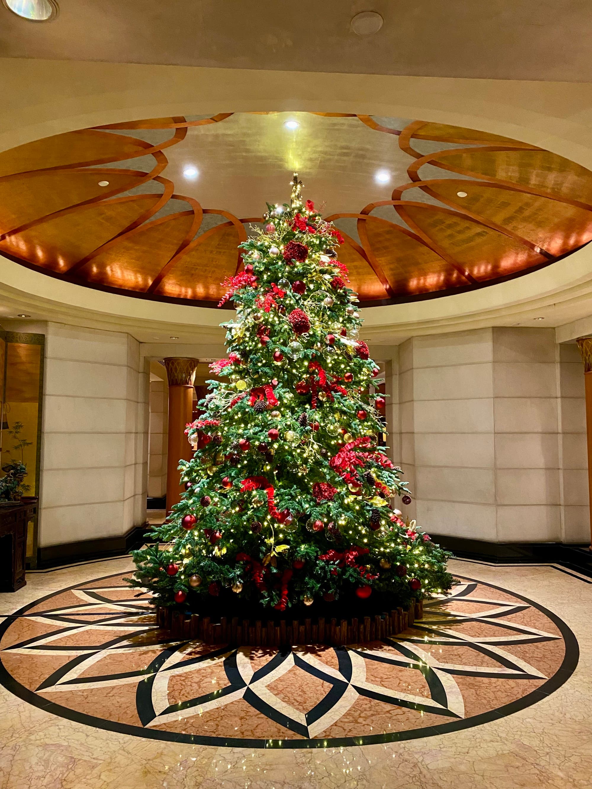 FS Singapore-ChristmasTree - Alicia Anderson