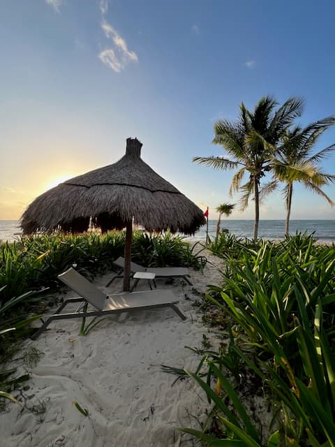 Beach Palapa - Holly Lacombe