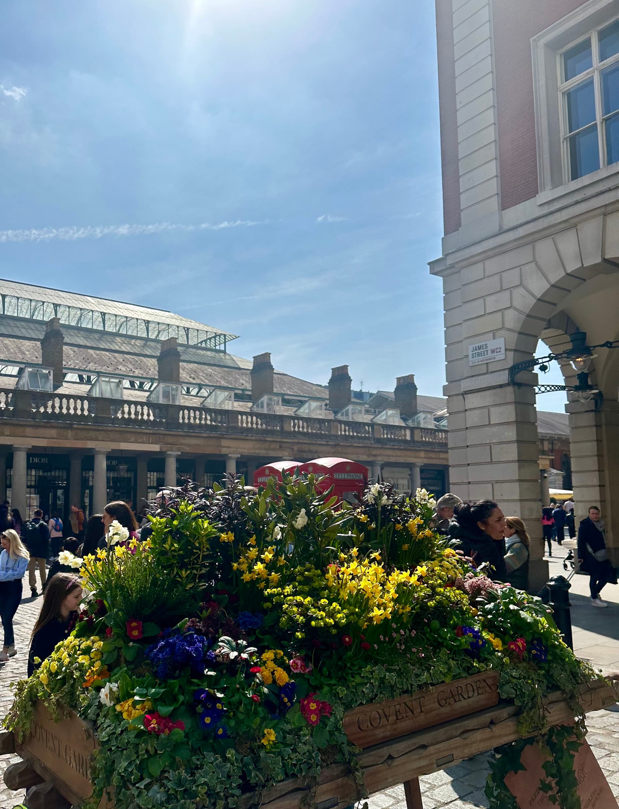 View of a flower planet