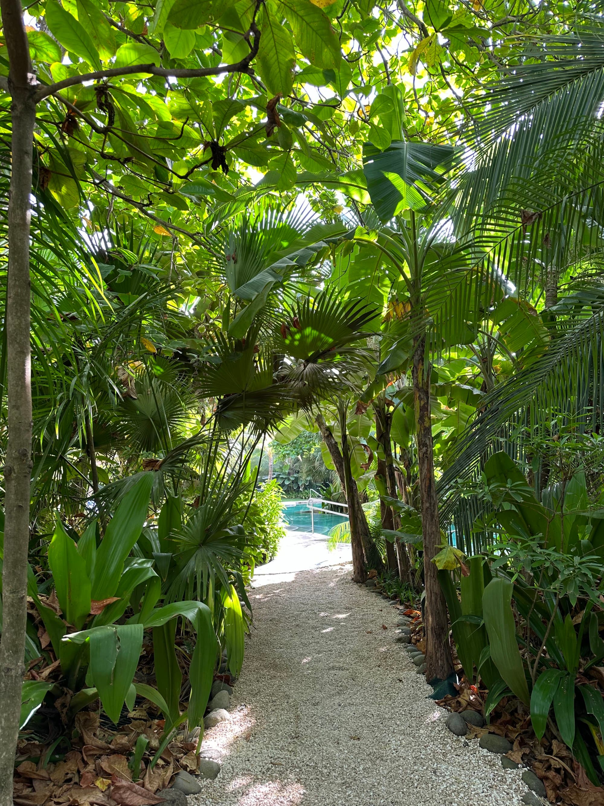 Lush-Walkways - Katie Gooding