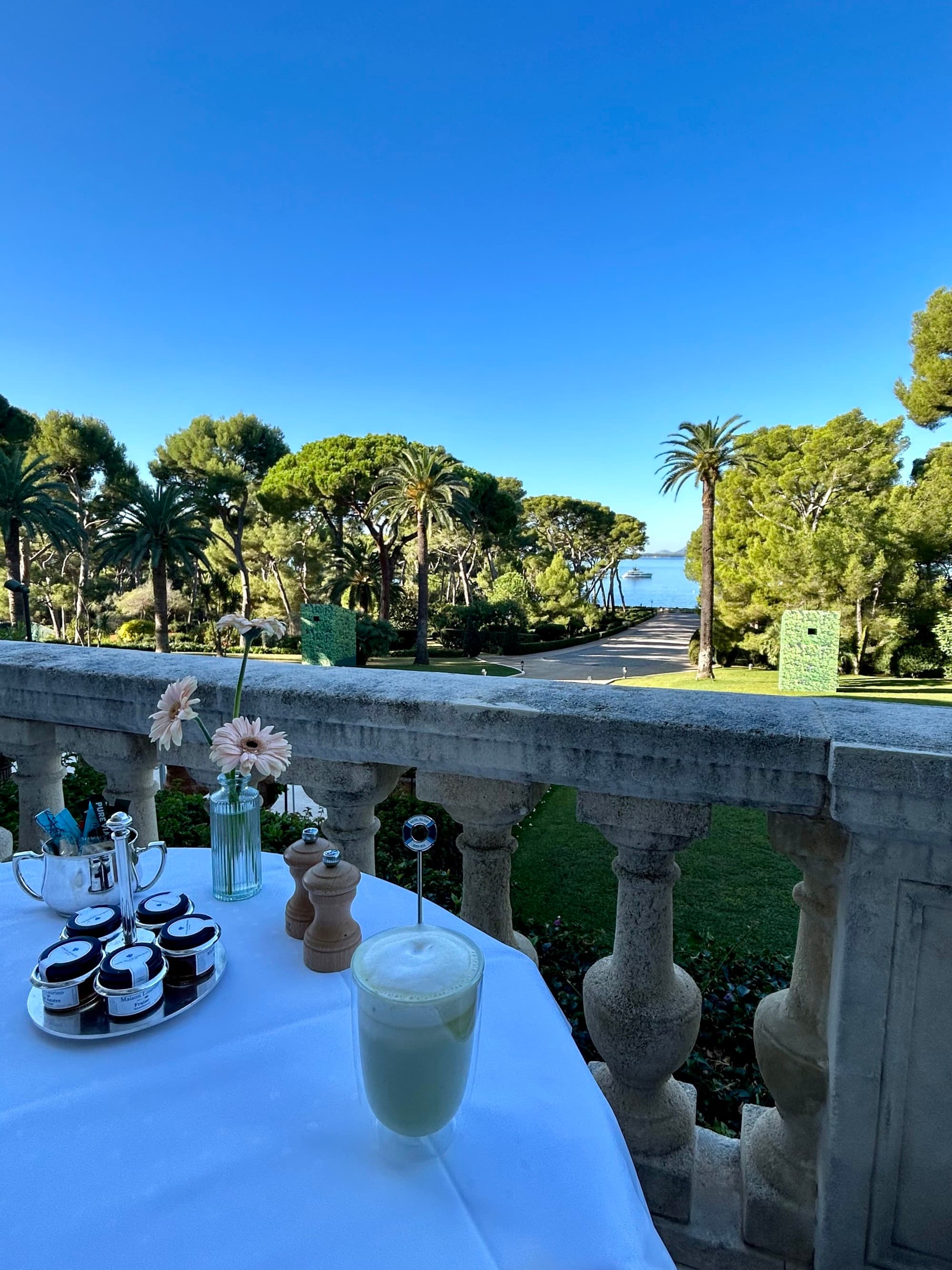 View from the dining area