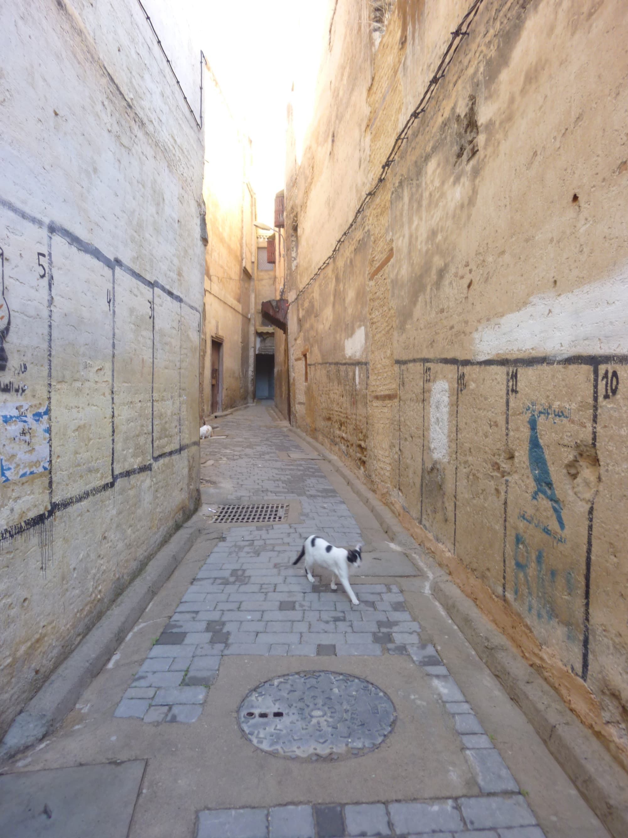 streets in morocco
