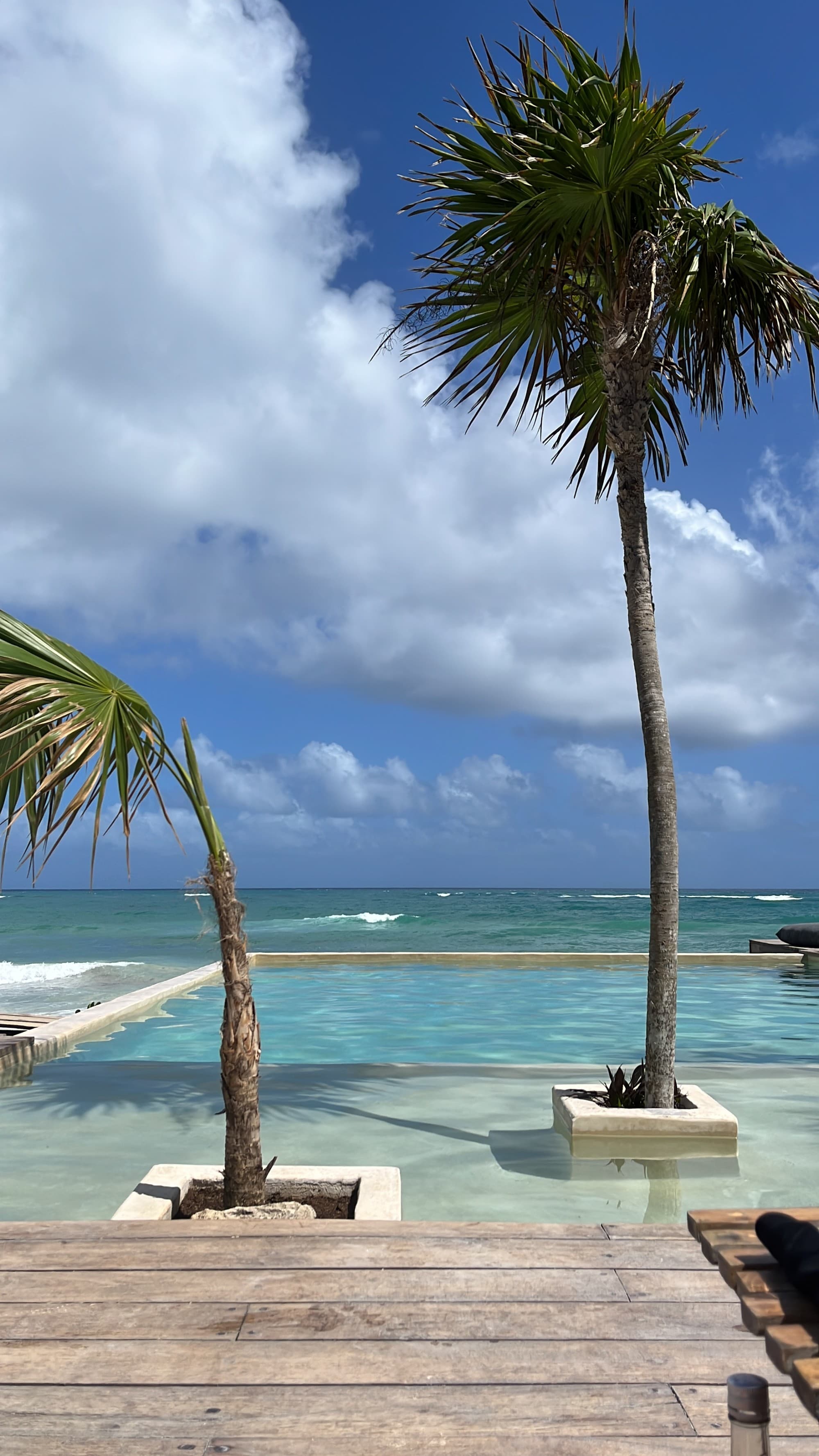 Habitas Tulum Pool View