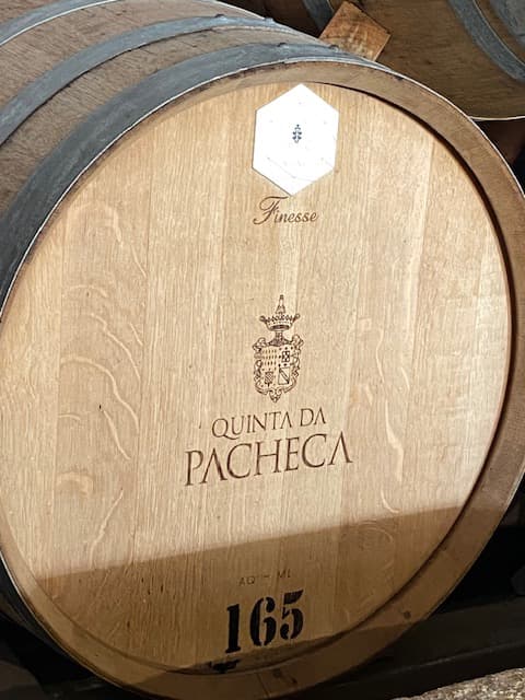 View of a circle shape wood with engraved text