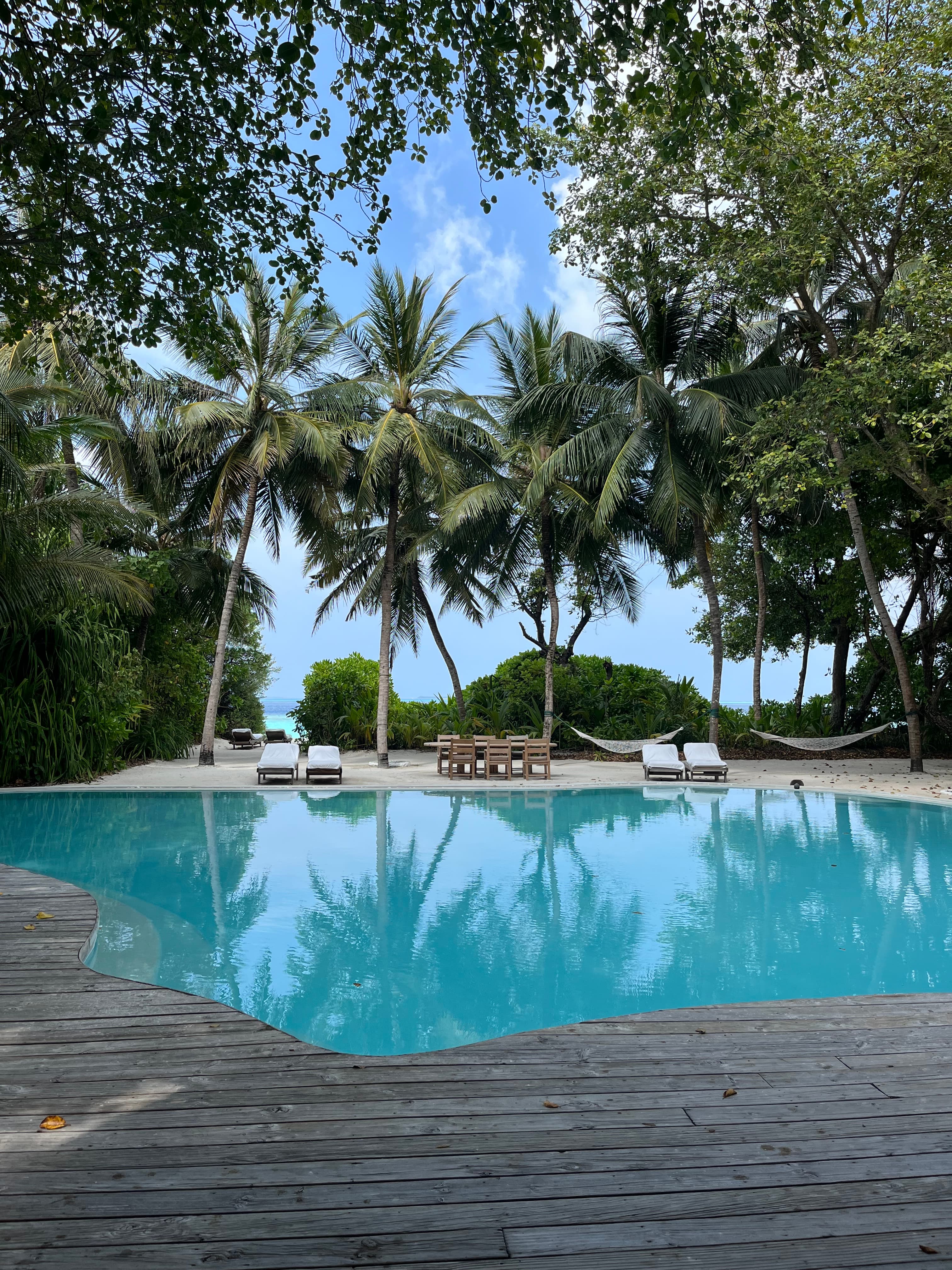 Pool and trees view