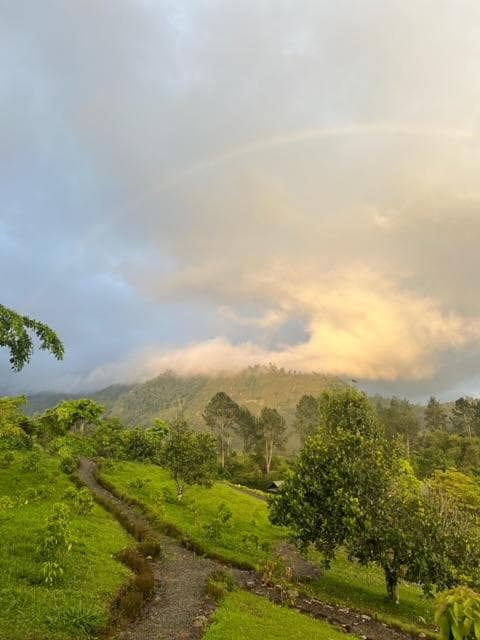Splendid sky and greenery