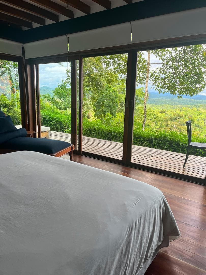 Beautiful view of the jungle/ocean from the bedroom