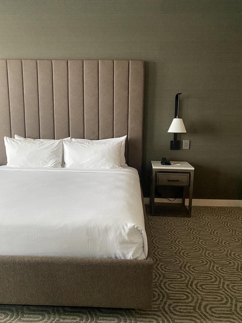 A comfy and luxurious room