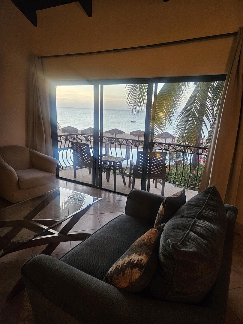 A calm and peaceful window view