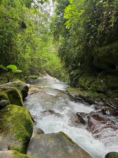 A mesmerizing lake water view
