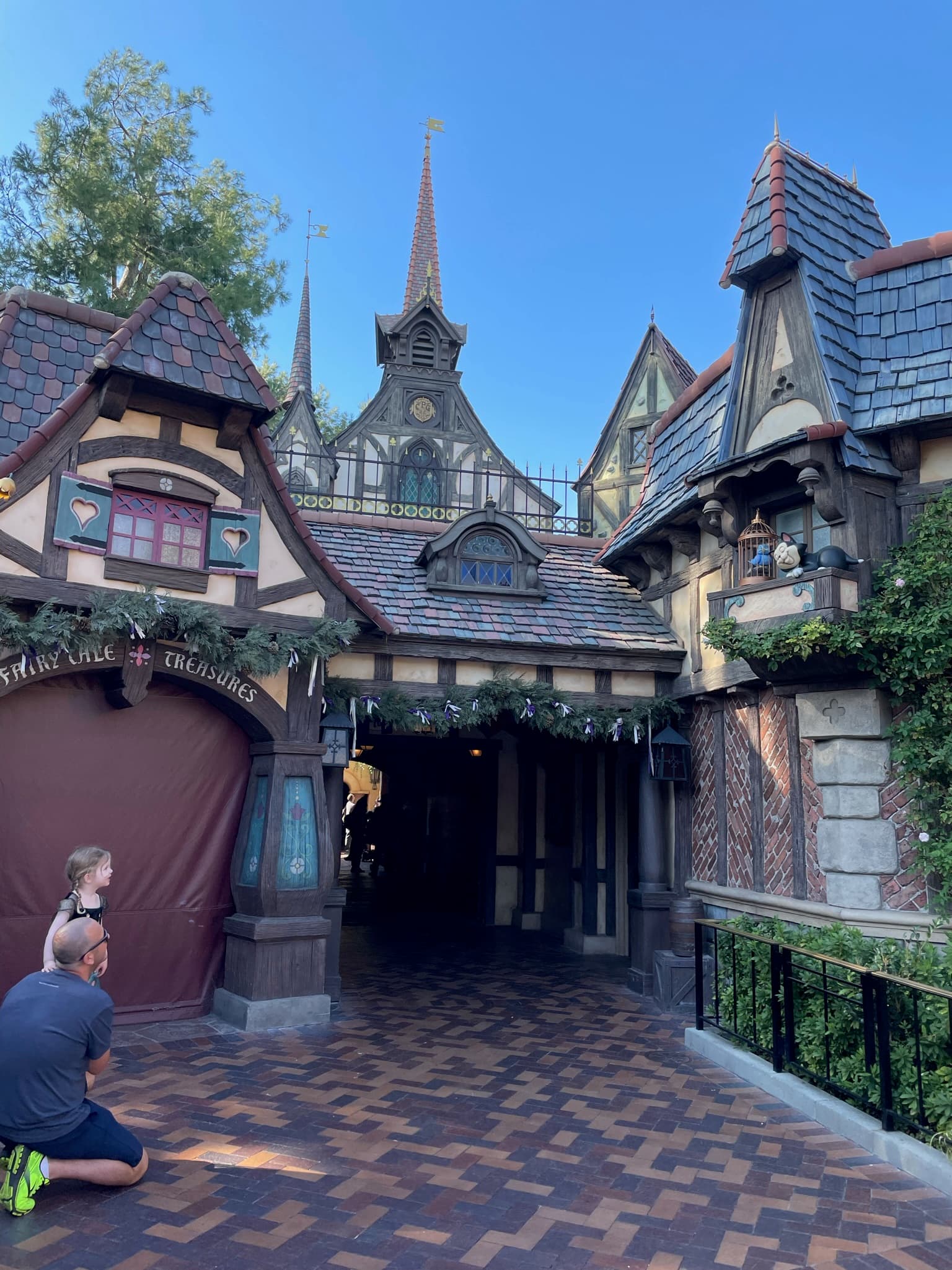 Catching a glimpse of a cat and a bird