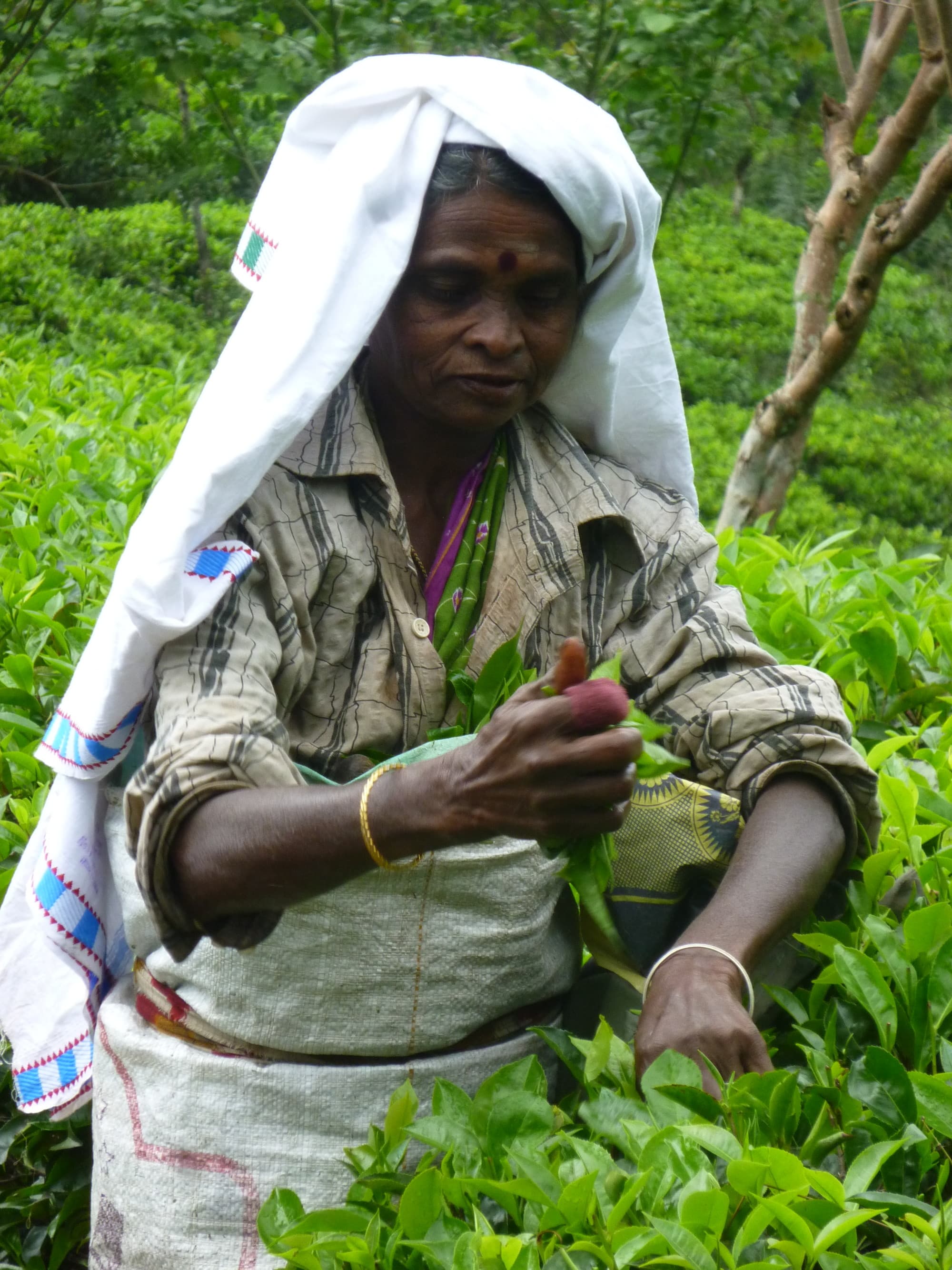 local working in the field