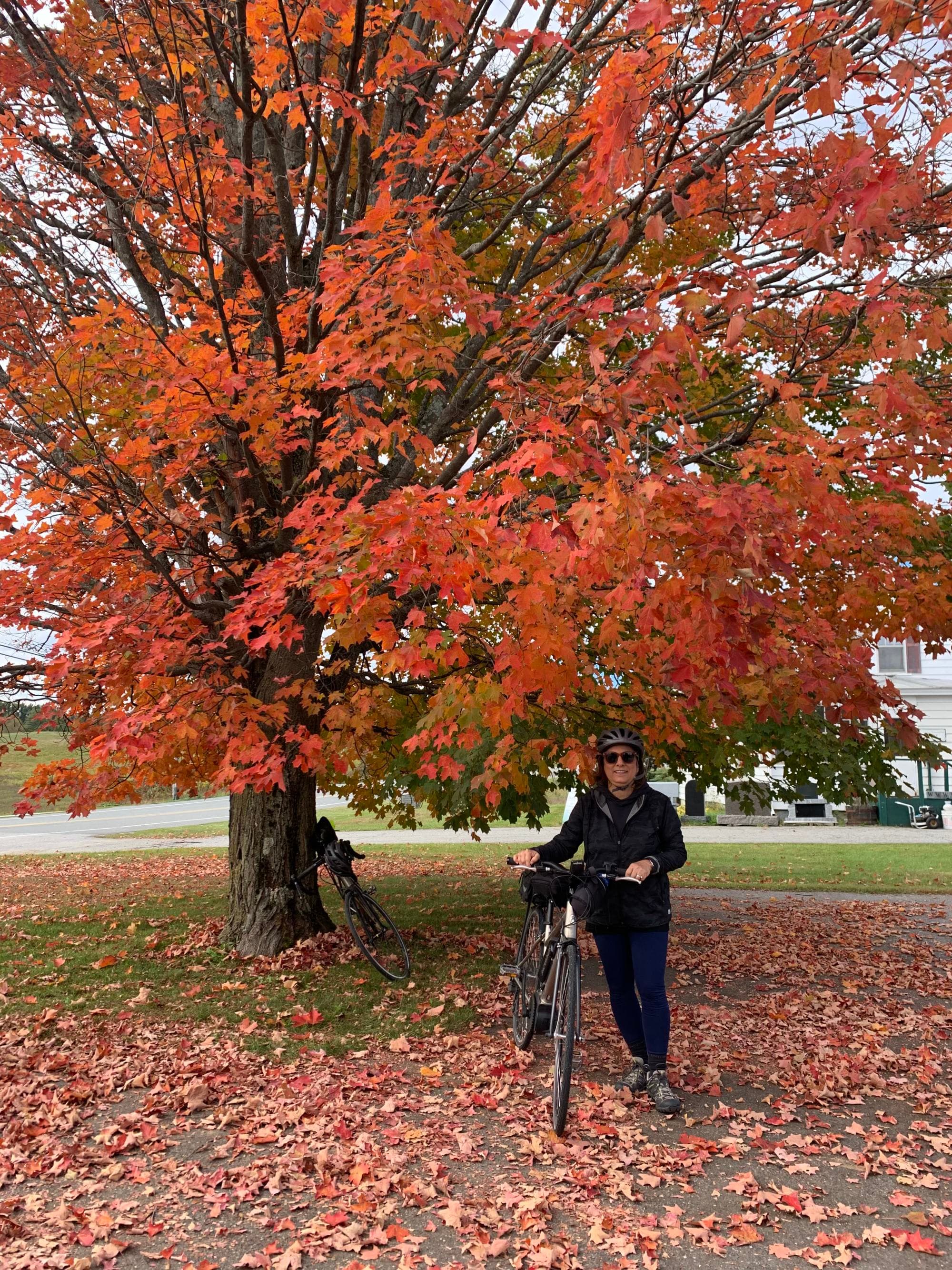 Travel advisor posing