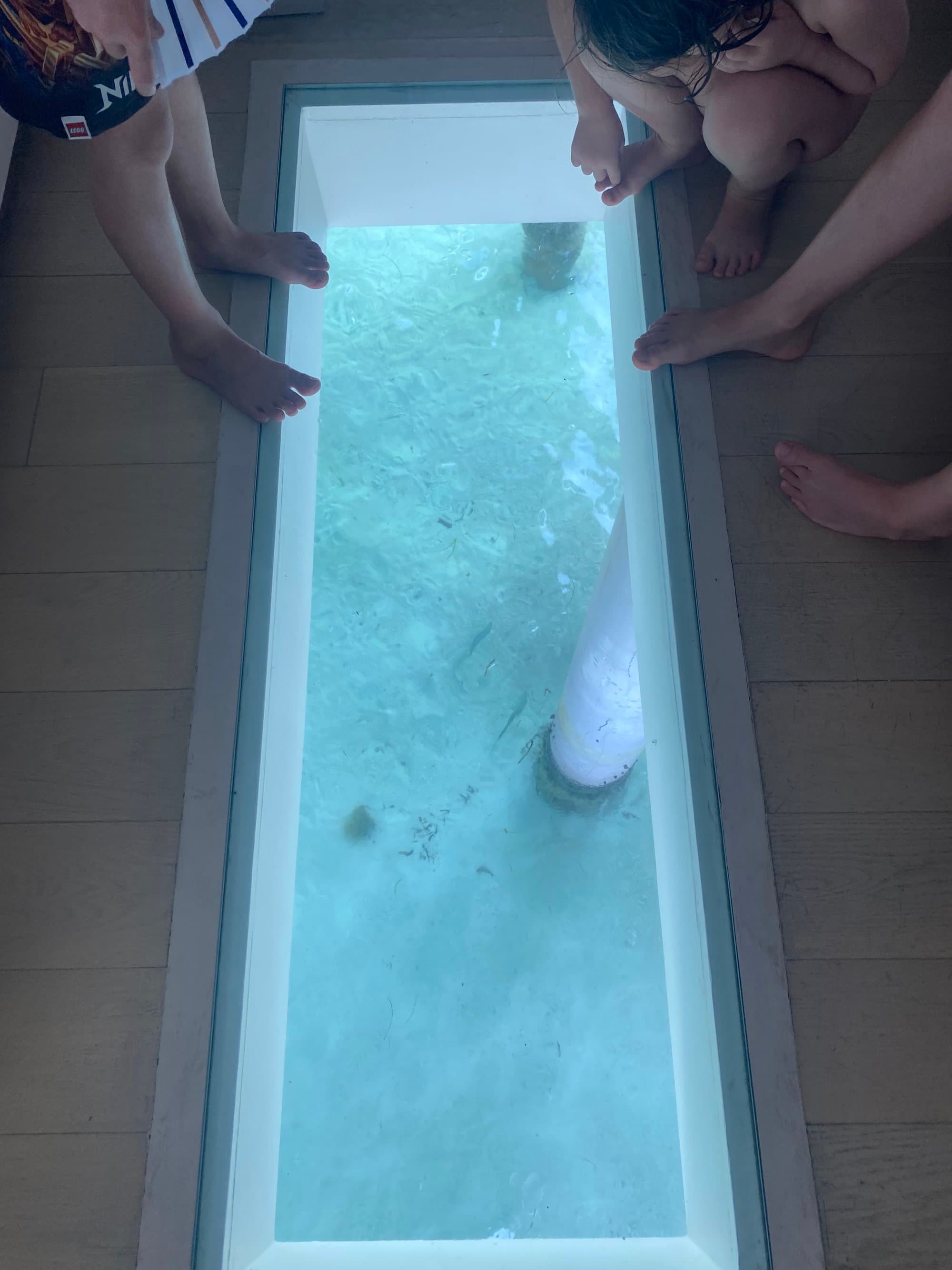 View of sea from glass floor