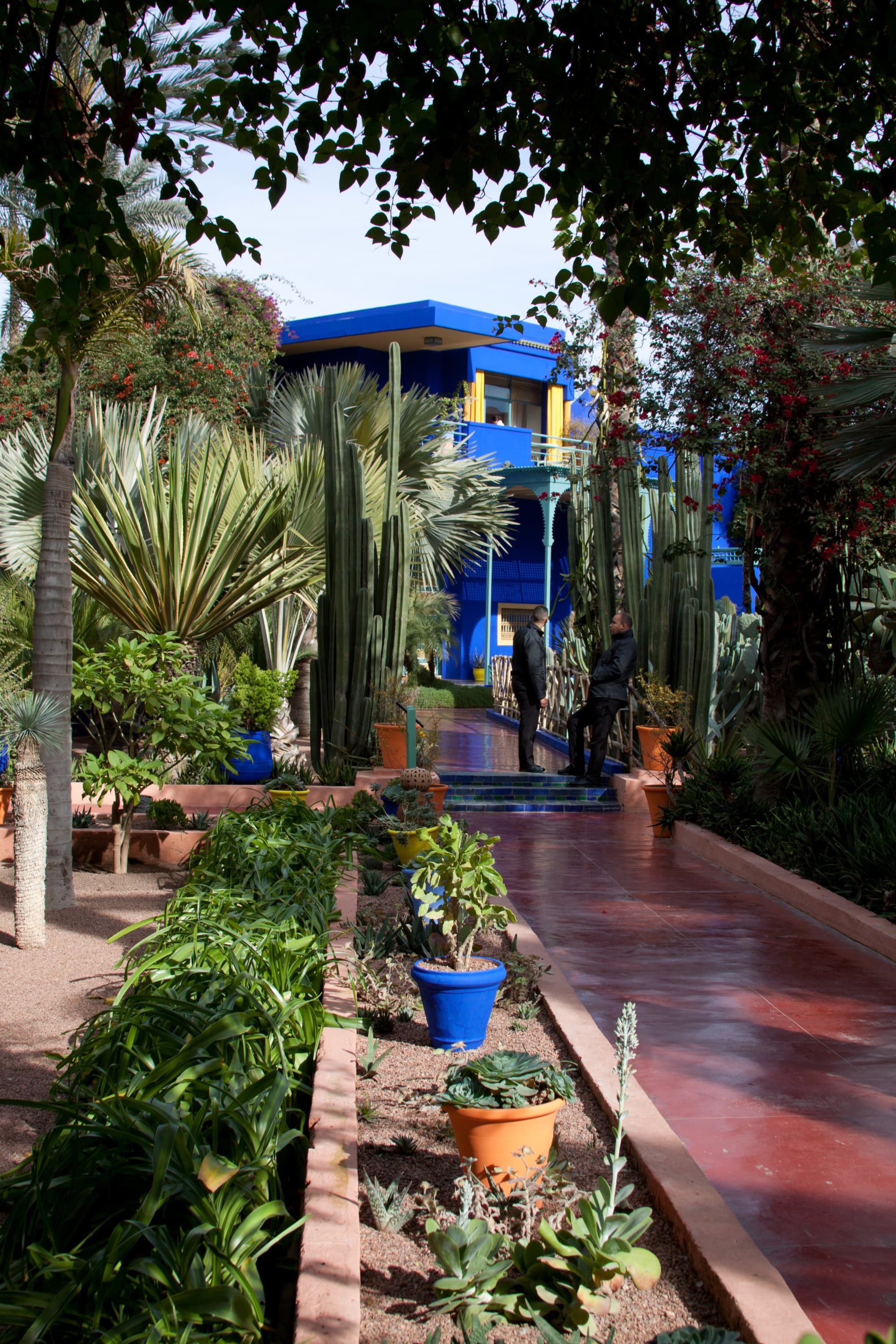 Jardin Majorelle - Heather Budd