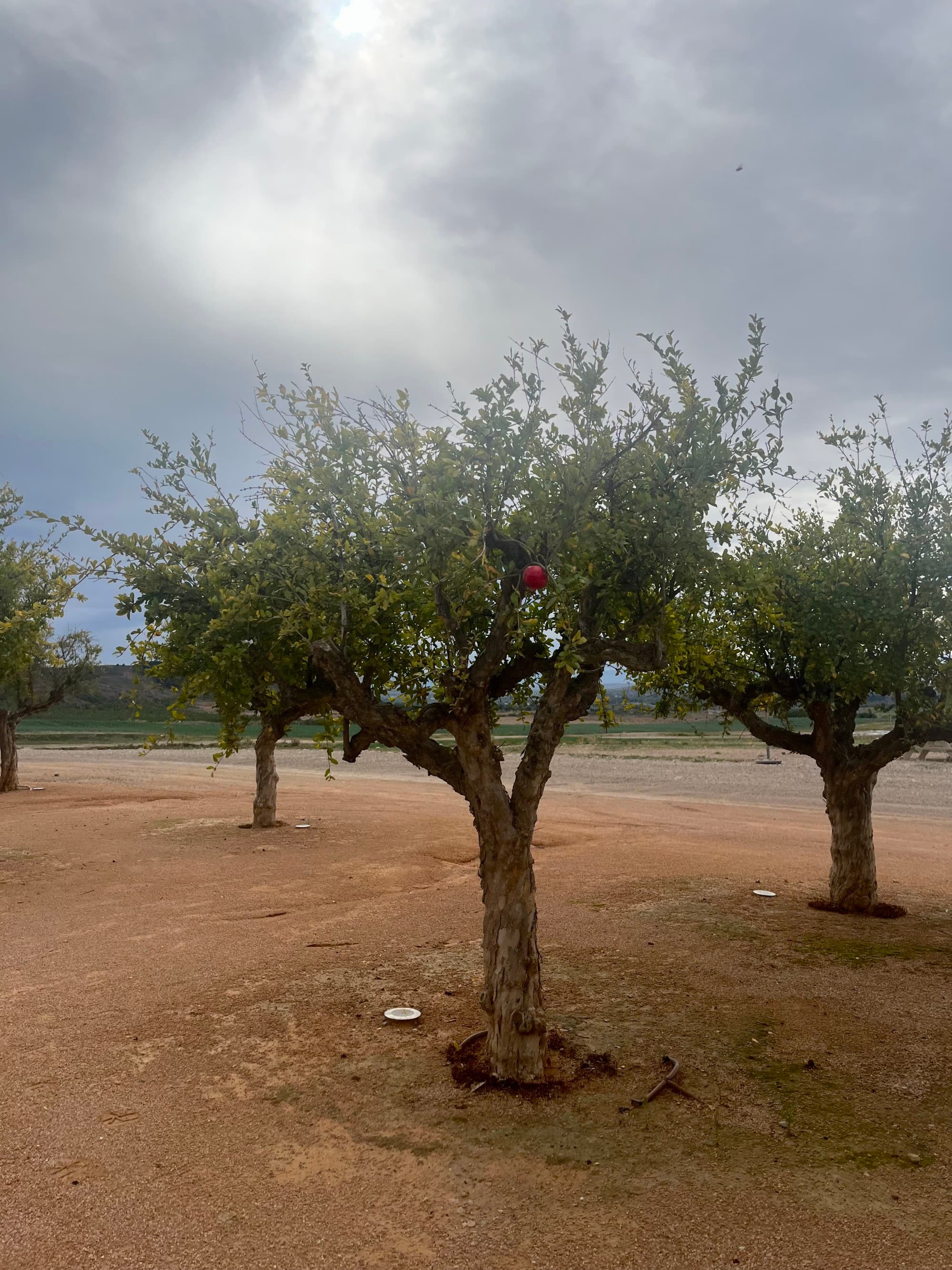 Bardenas Aire - Hotel - Cathy Hamel