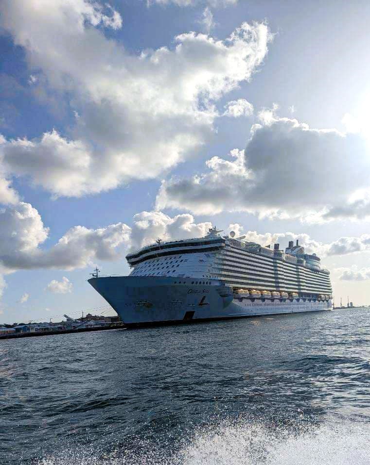 oasis - Caroline Murray