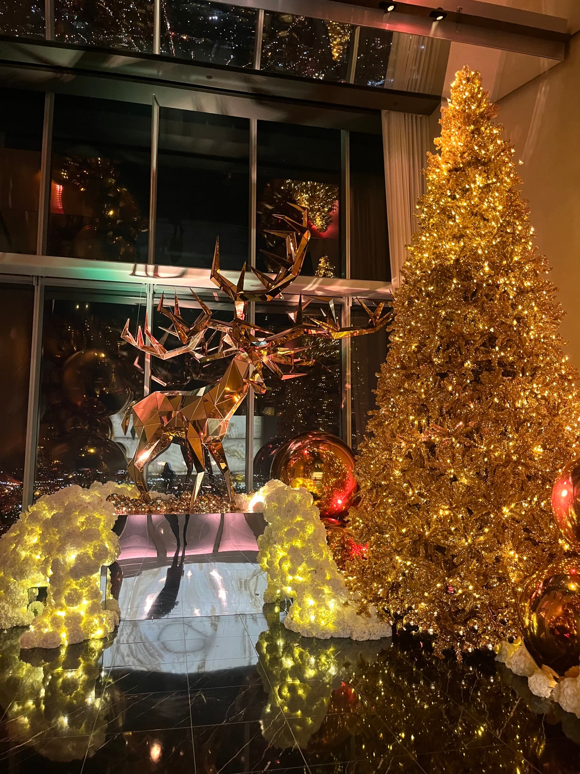 A lit Christmas tree and reindeer decoration