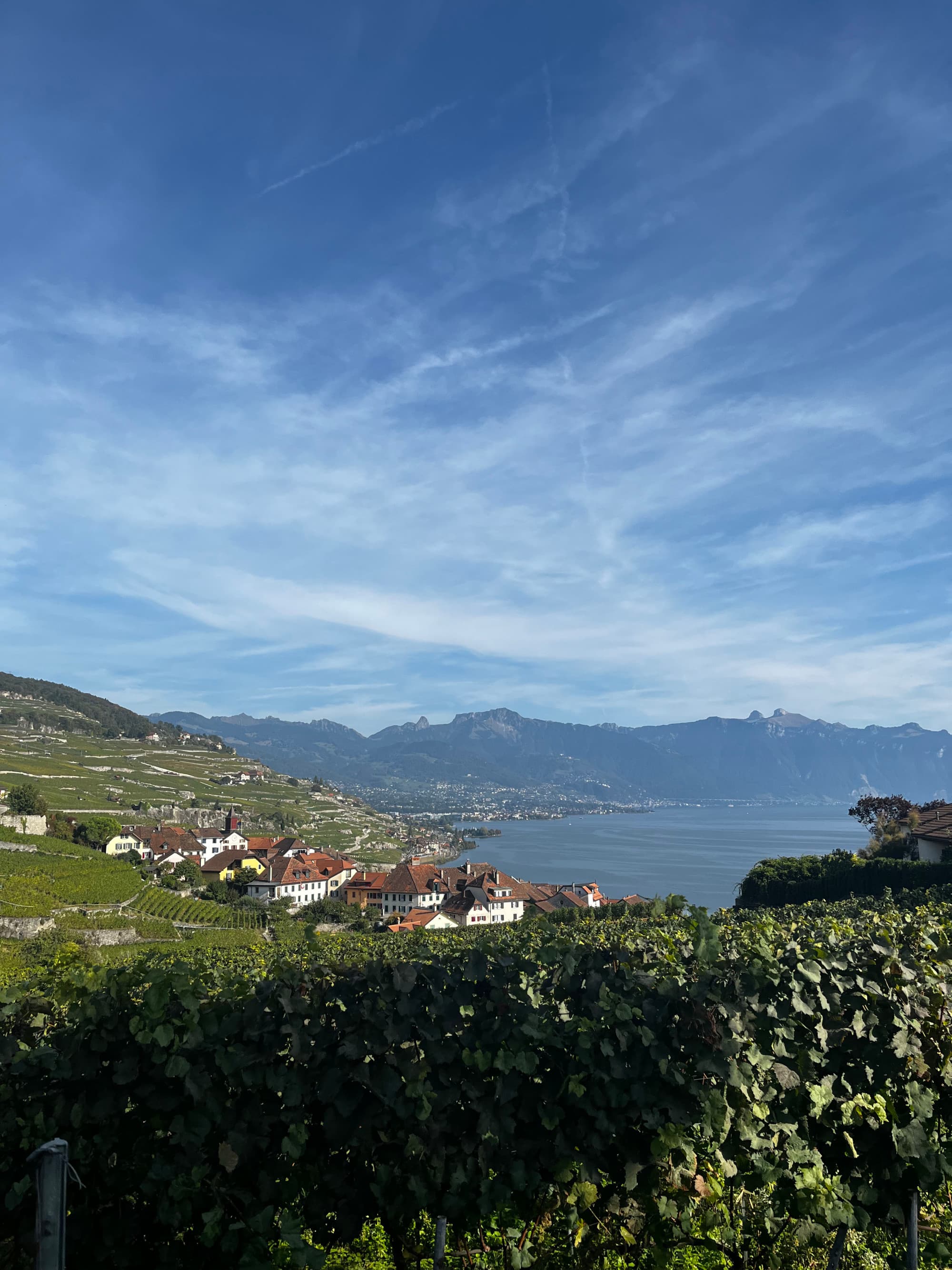 View of a valley with a small town and a body of water in the distance.