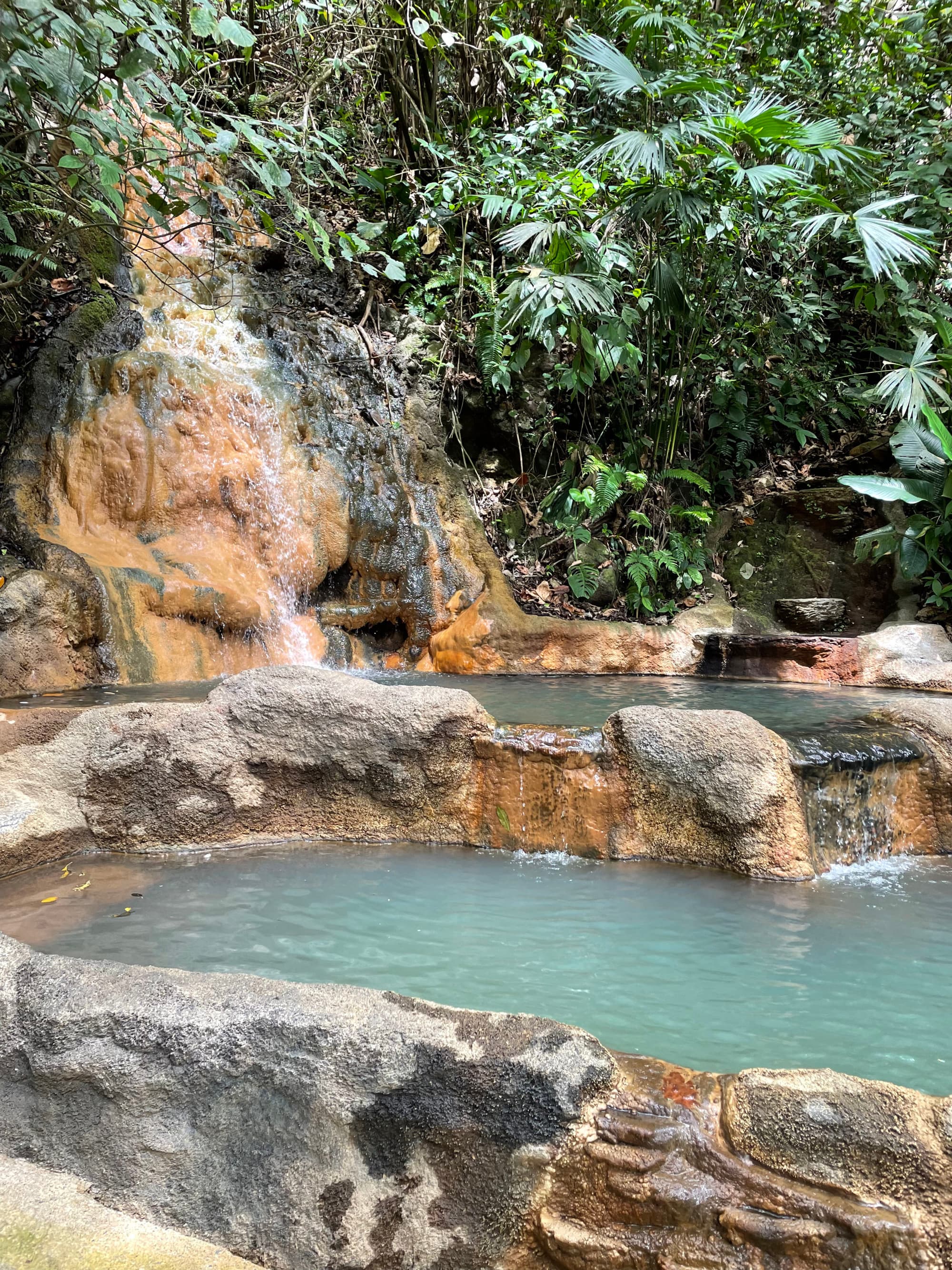 A hot springs in the jungle