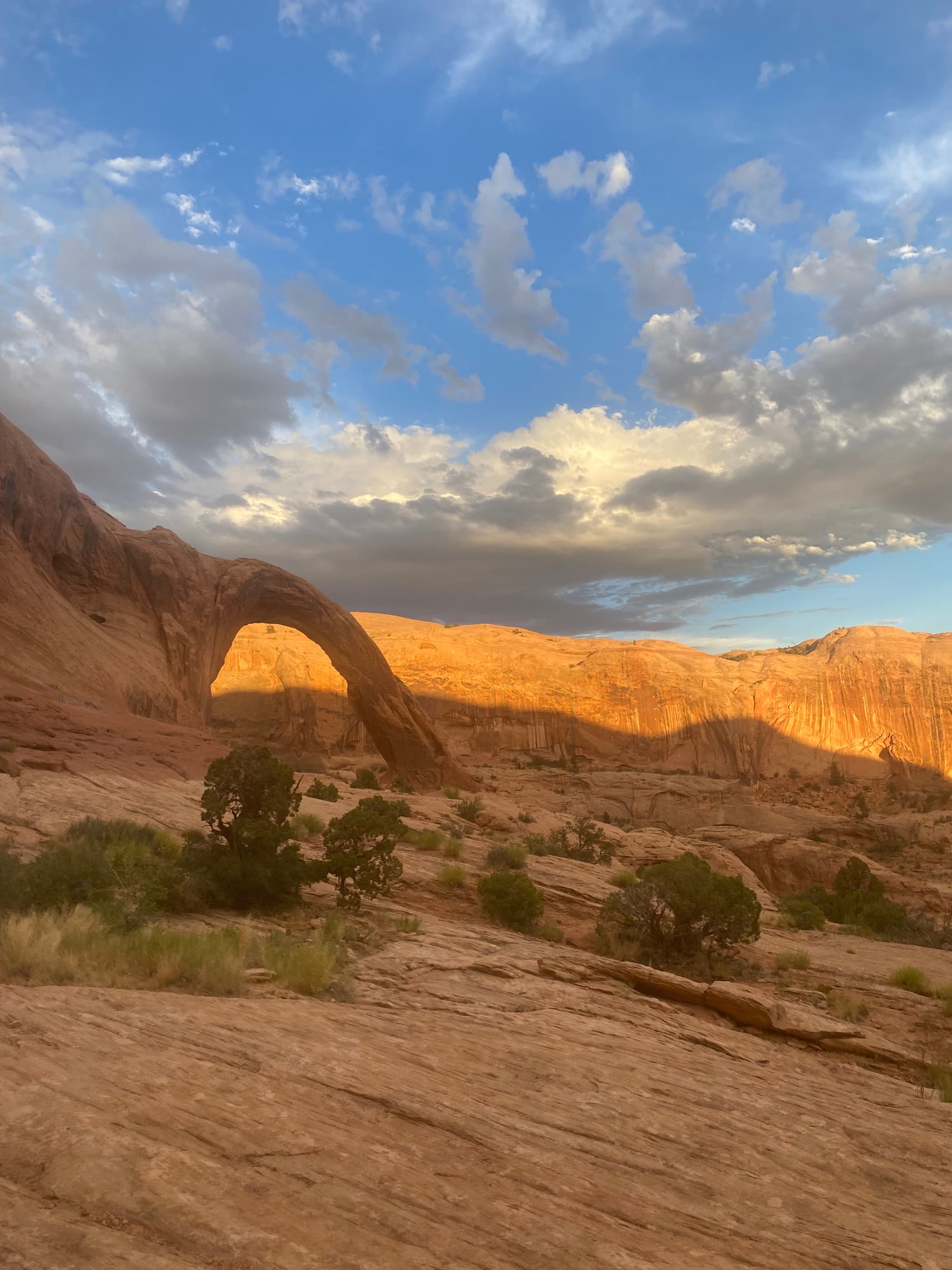 A vast desert area with rock formations during daytime