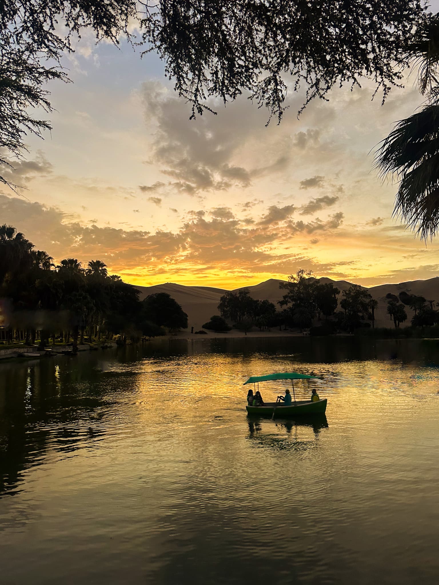 A beautiful view of water illuminated by the golden sunset in the distance. There is a boat carrying travelers, and various trees surrounding them.