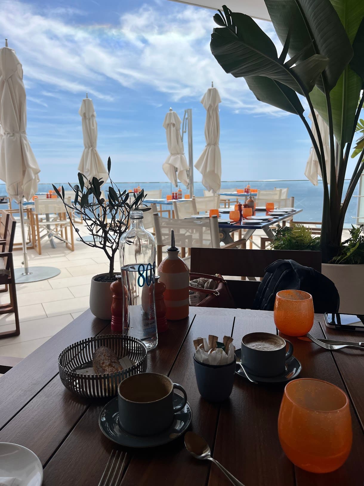 A view of a dining table with various cups on top of it, facing a pool deck with white umbrellas, palm leaves and a view of the blue sky and sea.
