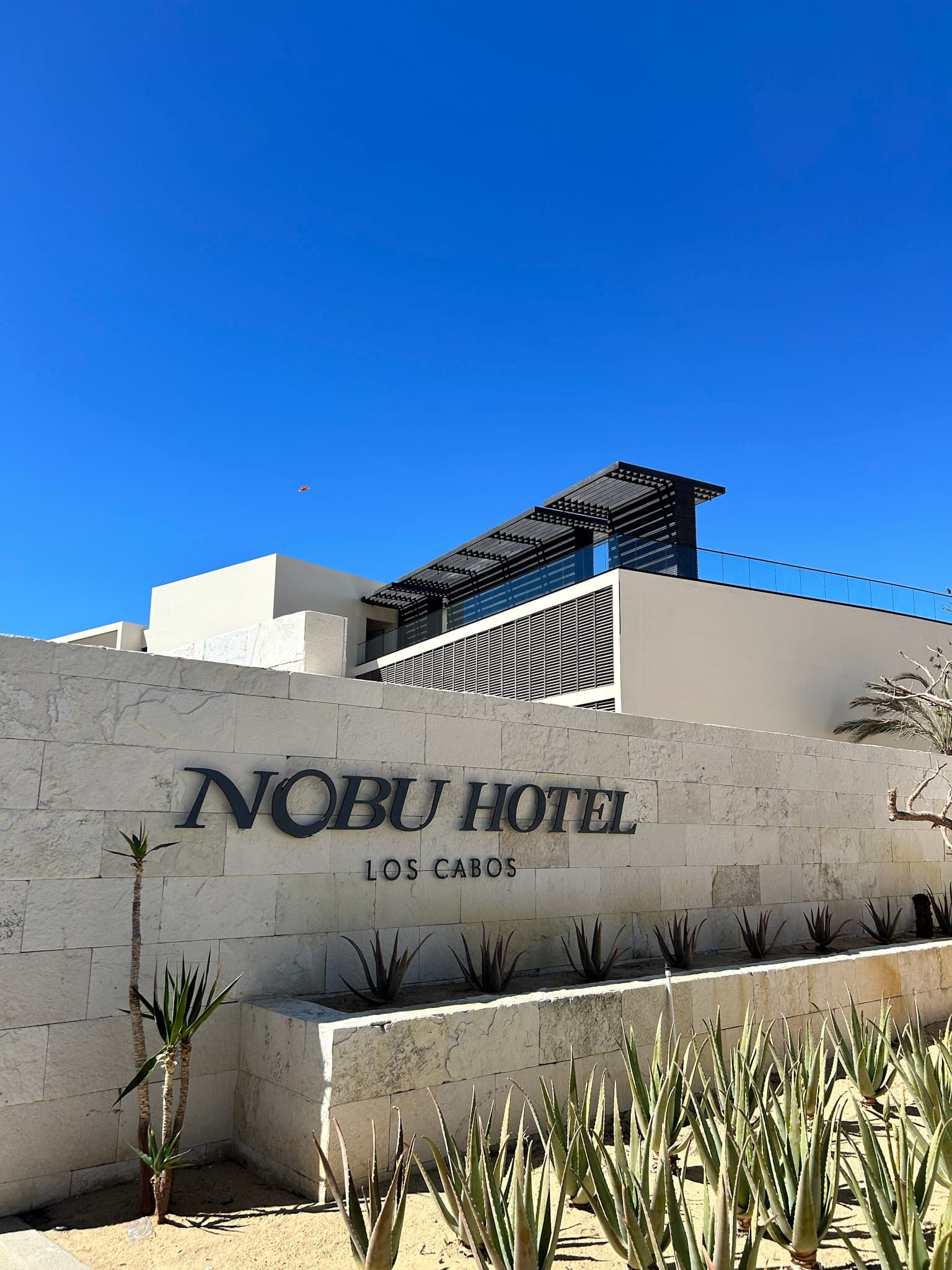 A view of the Nobu entrance exterior with plants in the forefront and beautiful stonework. The sky above is a vibrant blue.