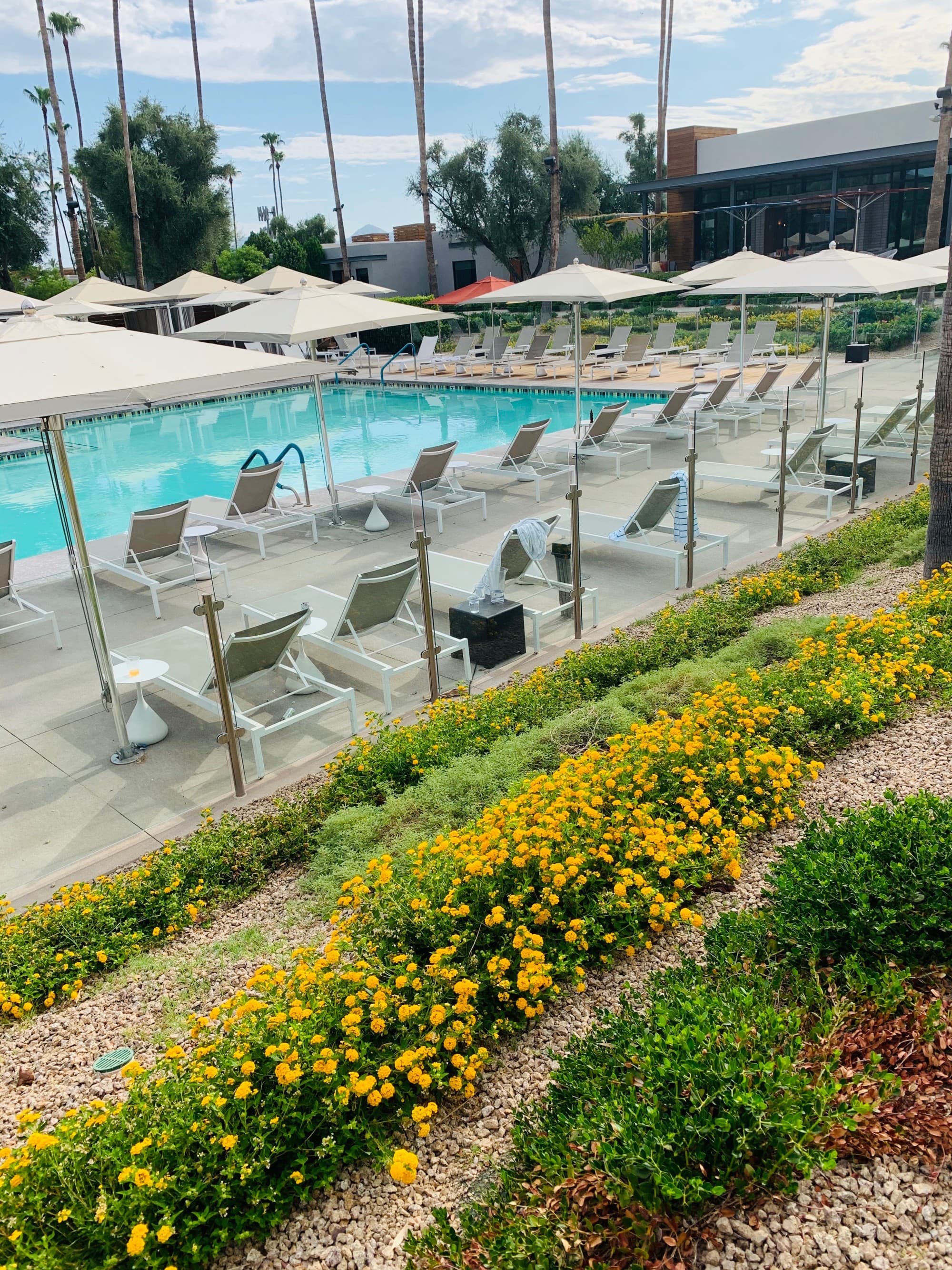 A poolside area during the daytime