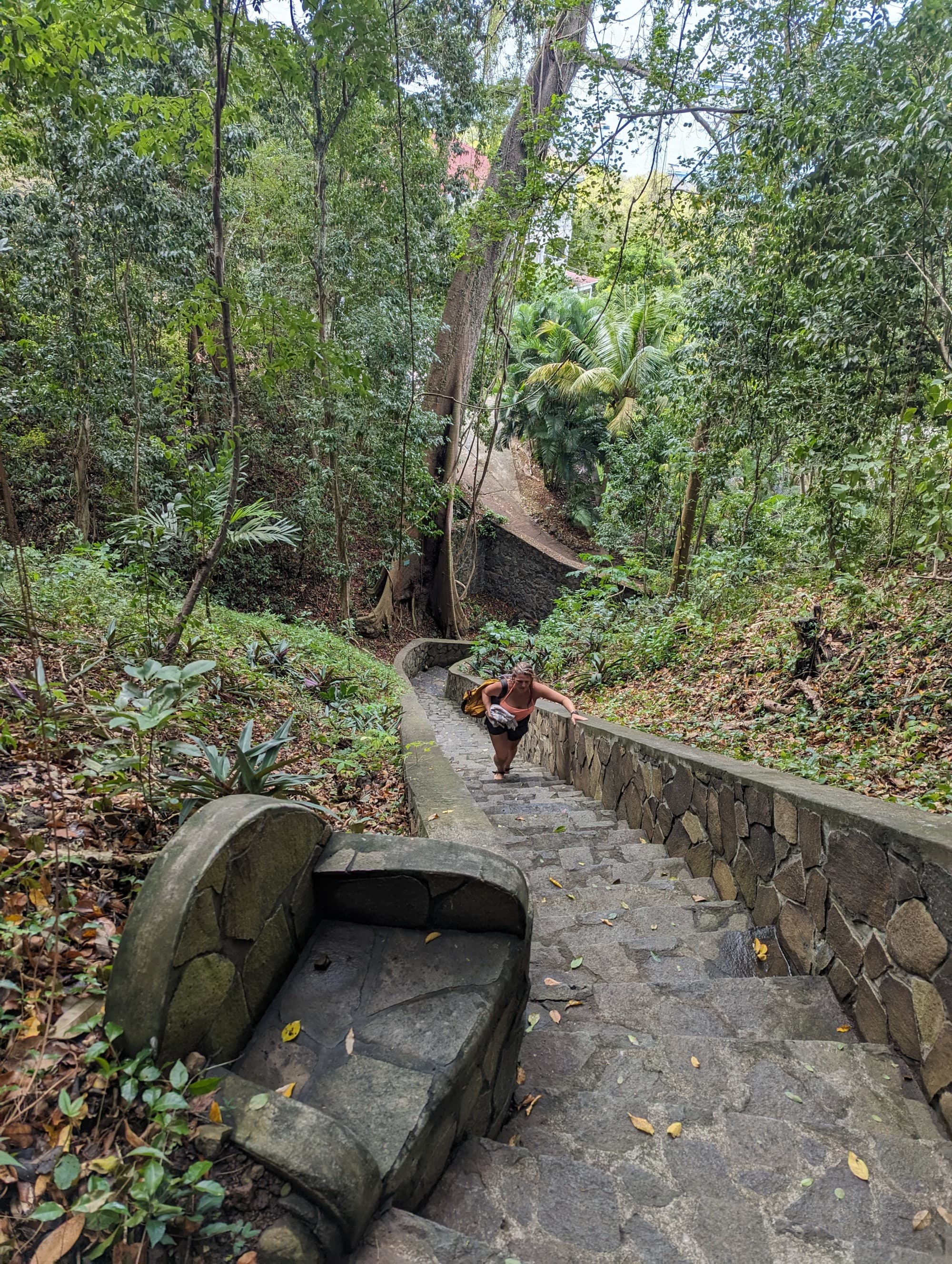 A stone stairwell in the middle of the jungle with a stone chair as a resting stop on the left side of the photo.