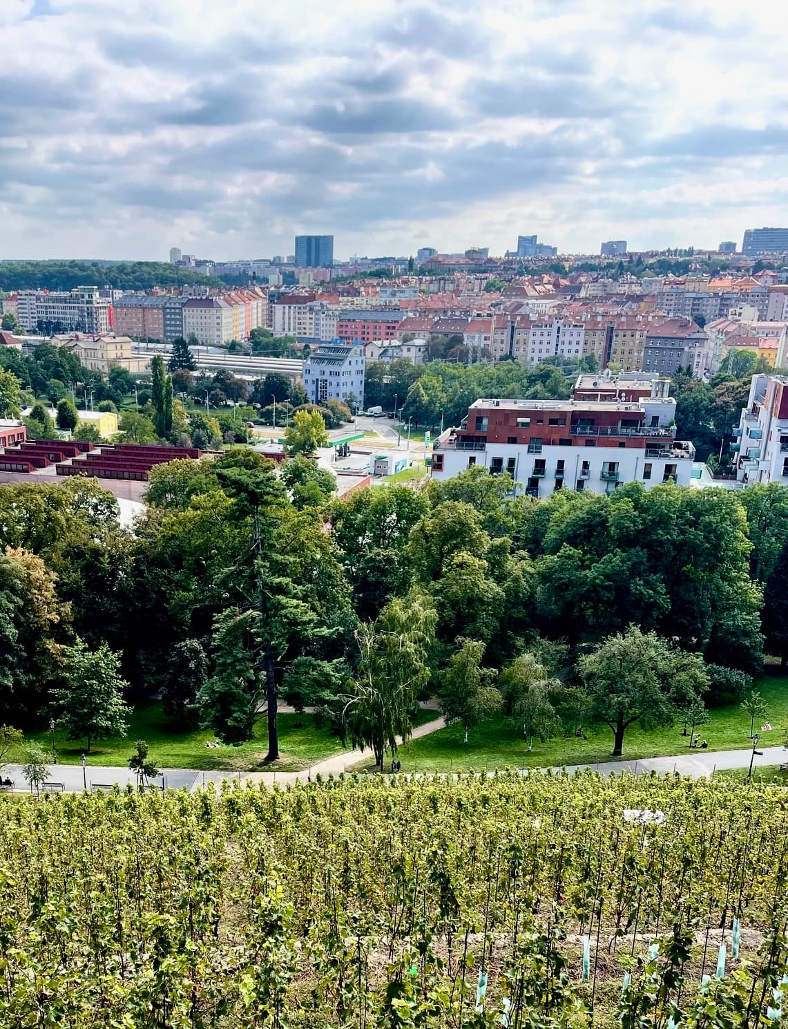 Vinohrady, fields with a town in the distance on a sunny day - Lauren Baroevich