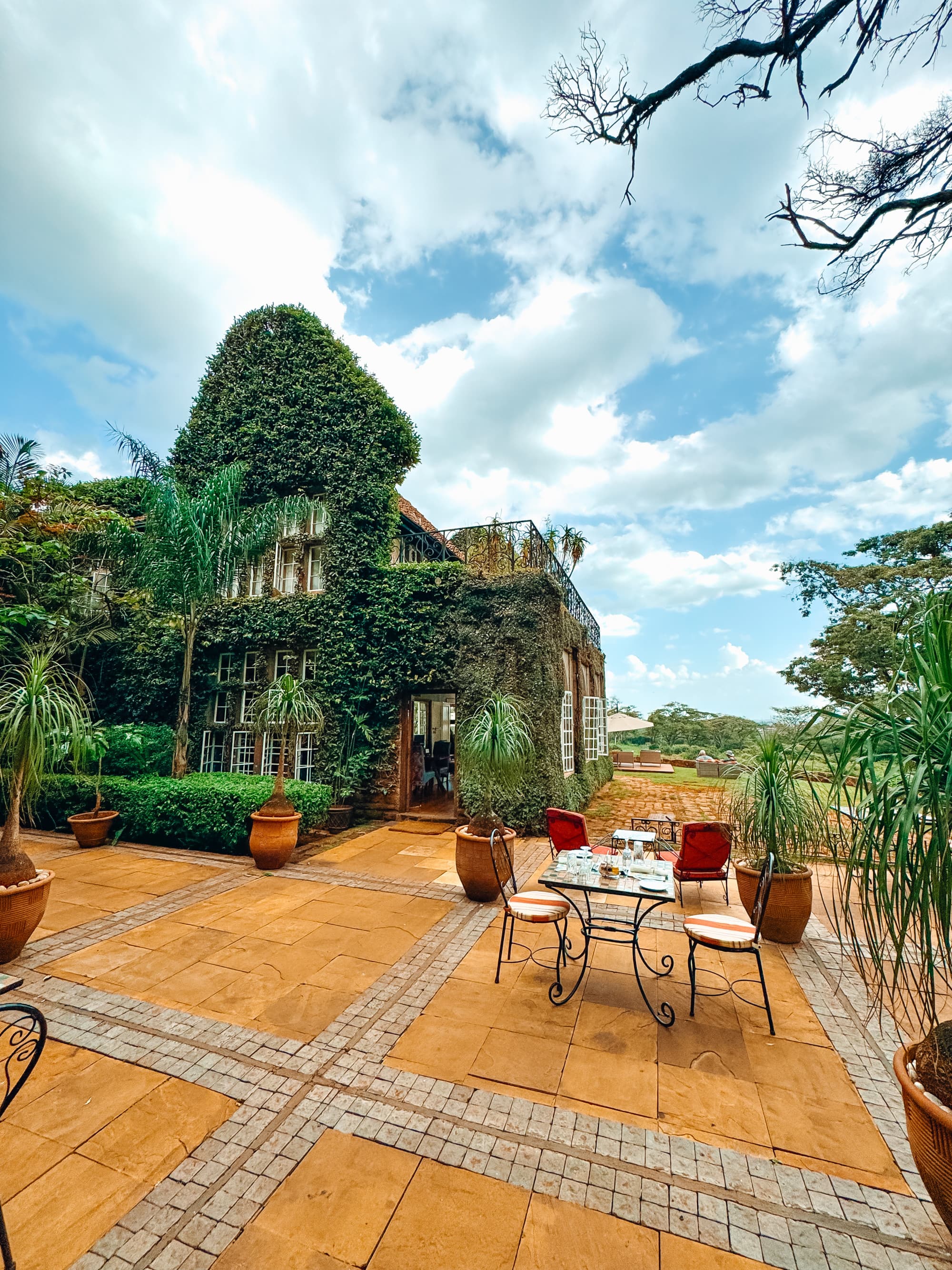 An outdoor patio with a table and four chairs, situated next to a vine covered building and various plants and trees.