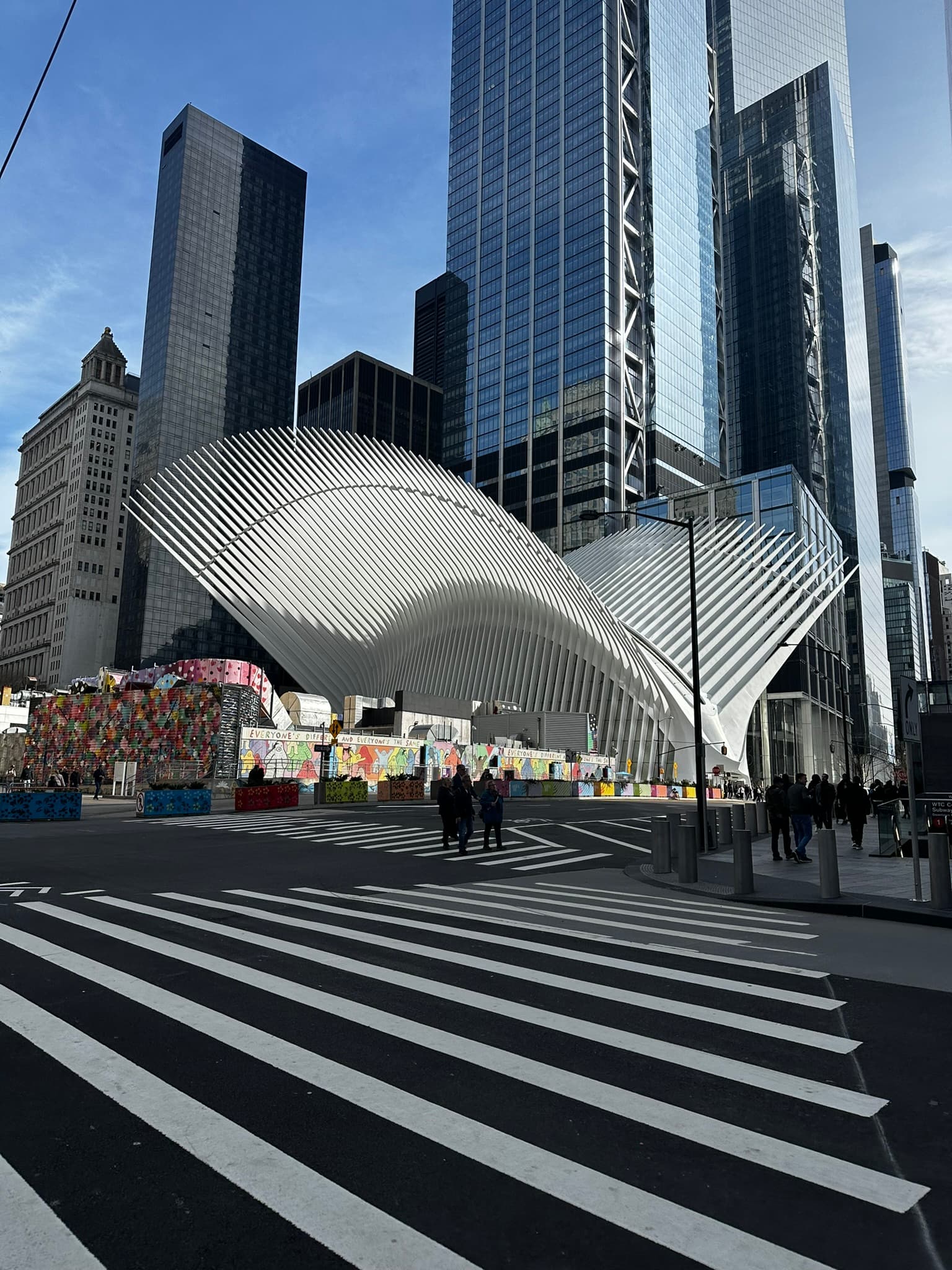 NYC Oculus - Shelly Maffia