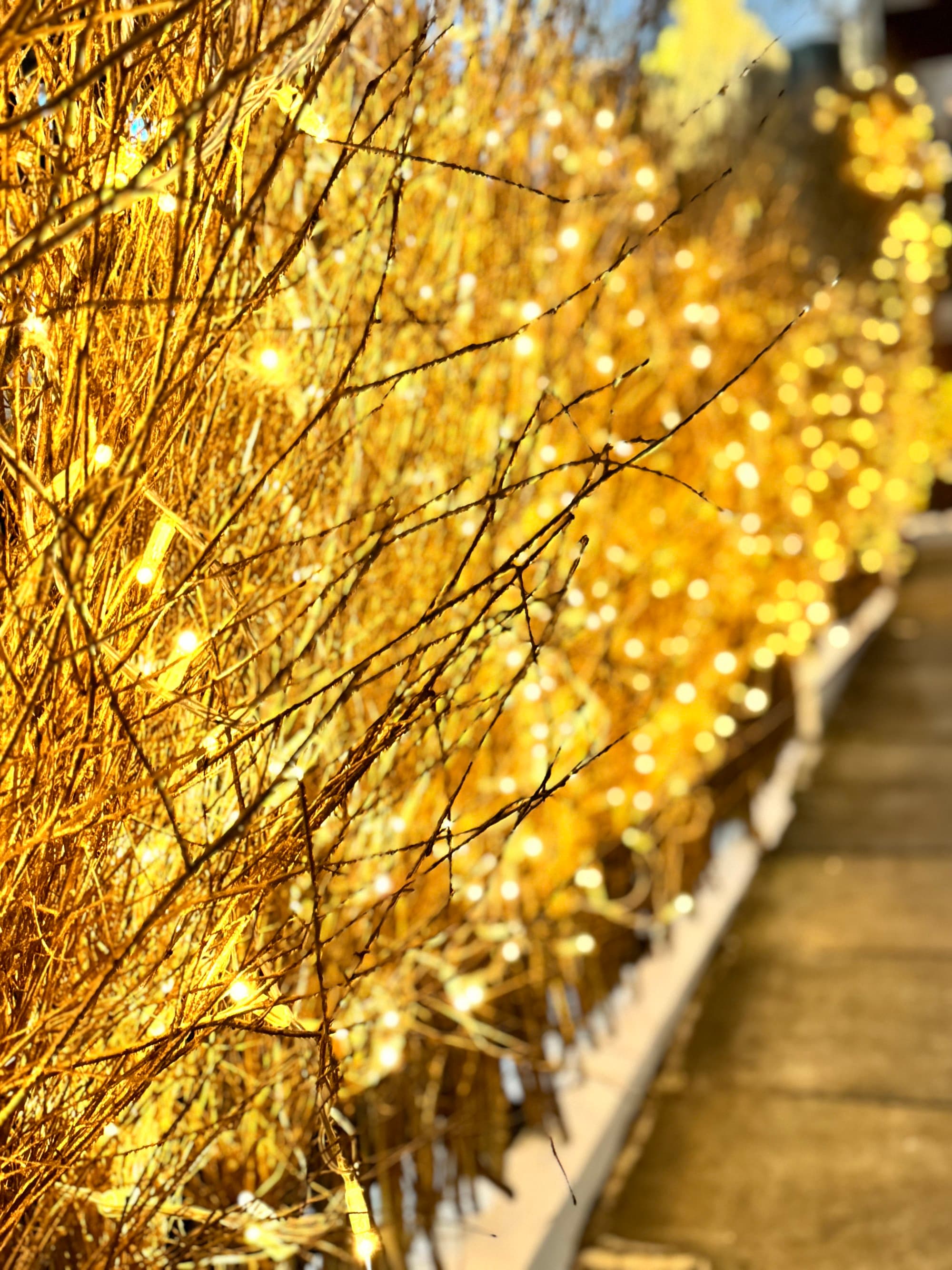 Festive Mayfair Lights