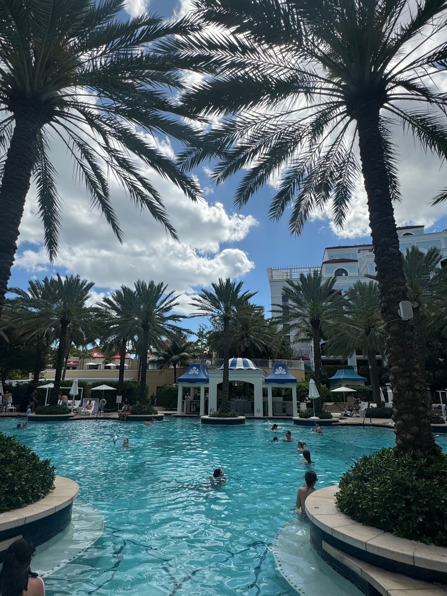 A view of a swimming pool with palm trees surrounding it and buildings in the distance at a hotel resort.