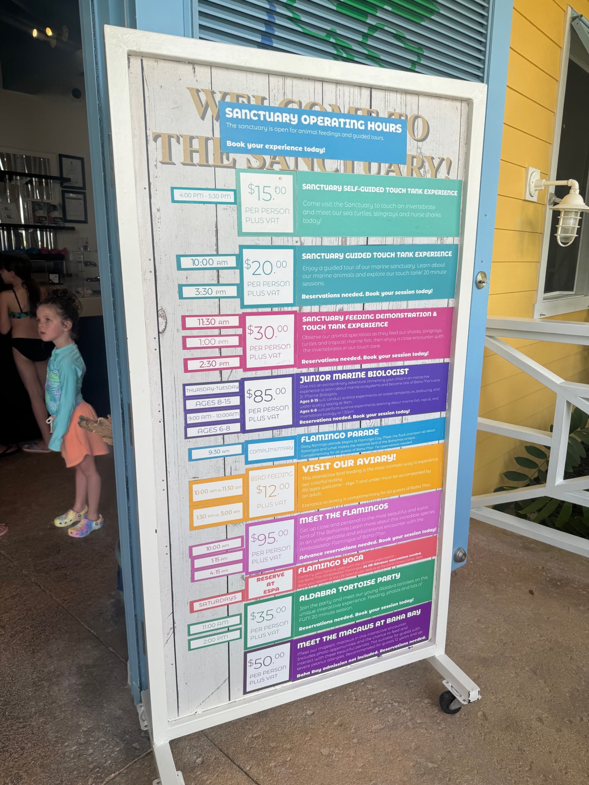 A board with various color strips and words with a child in the background.