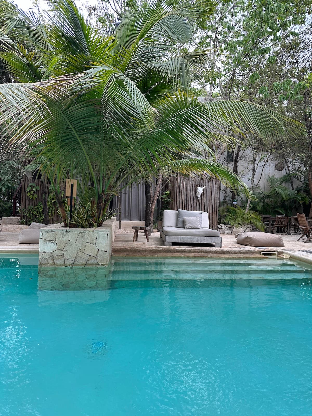 A pool area under palm tree leaves