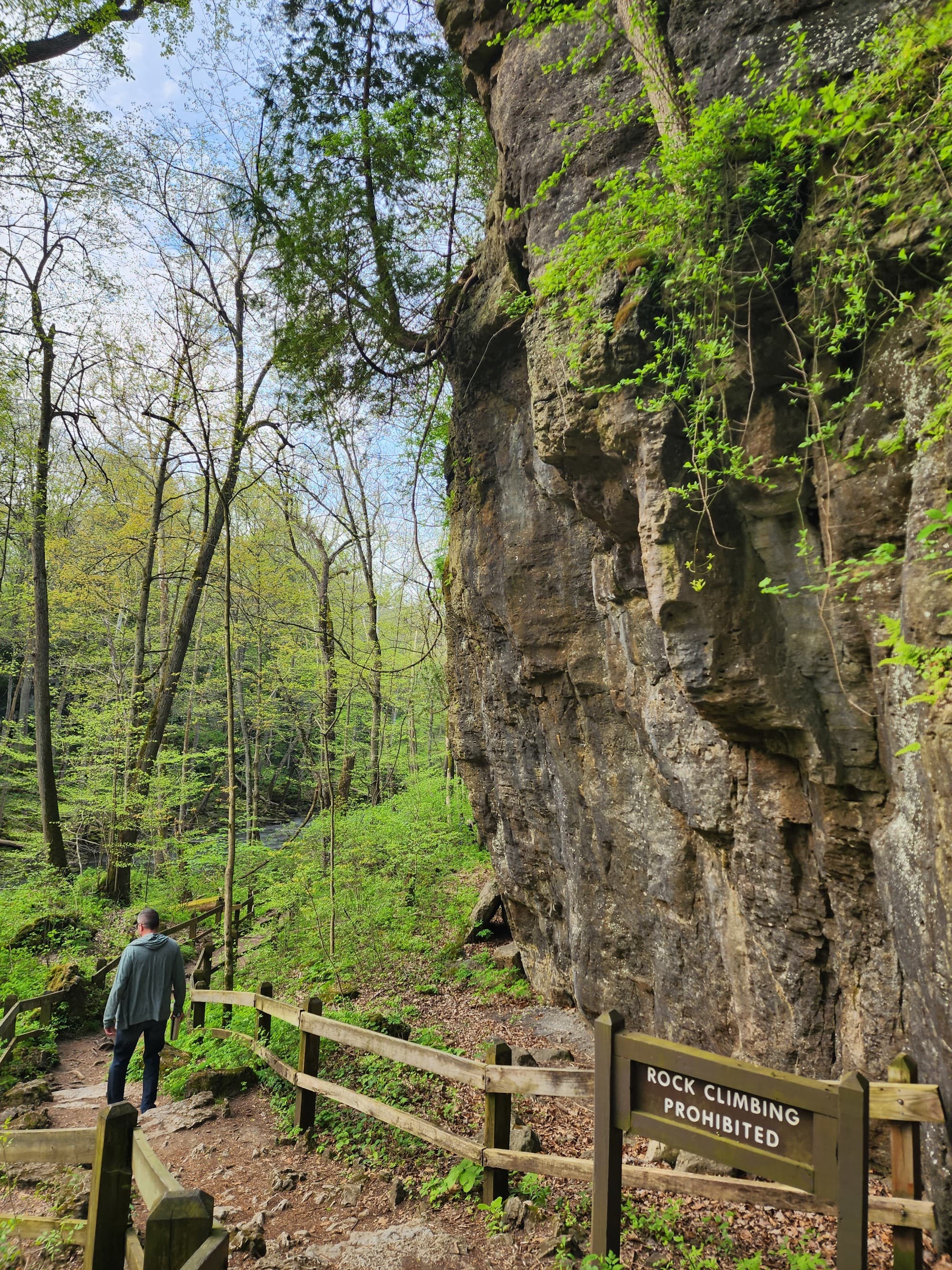 A walking trail next to a green cliffside