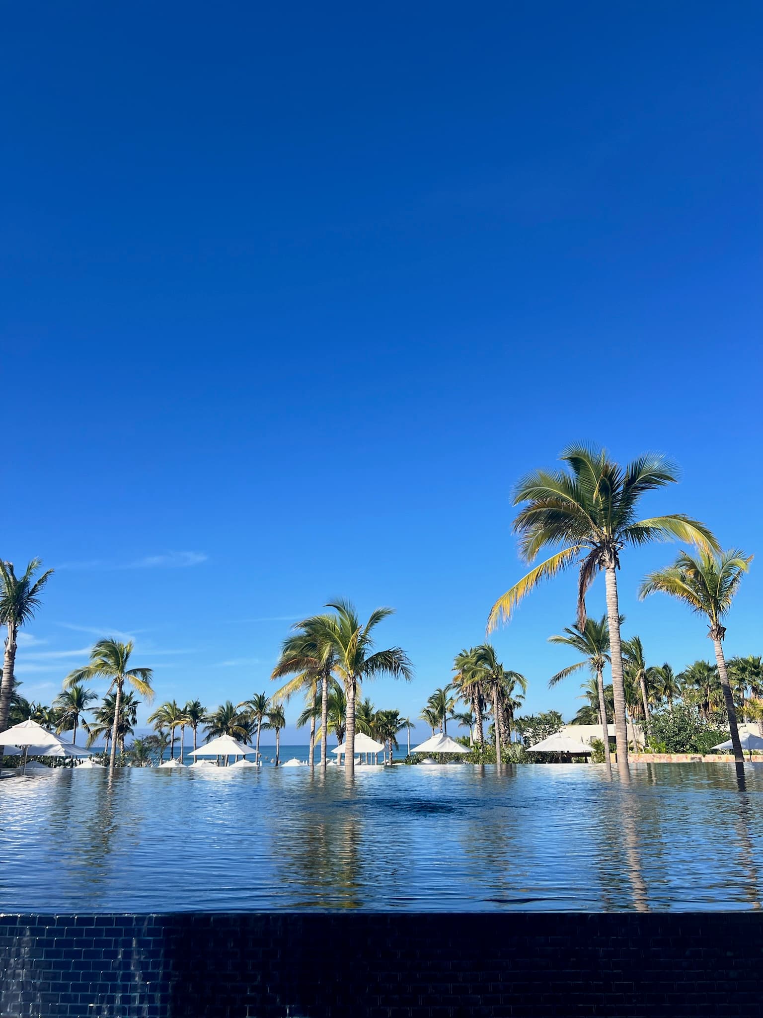 The hotel's infinity pool with the beach, big blue sky and white umbrellas in the background.