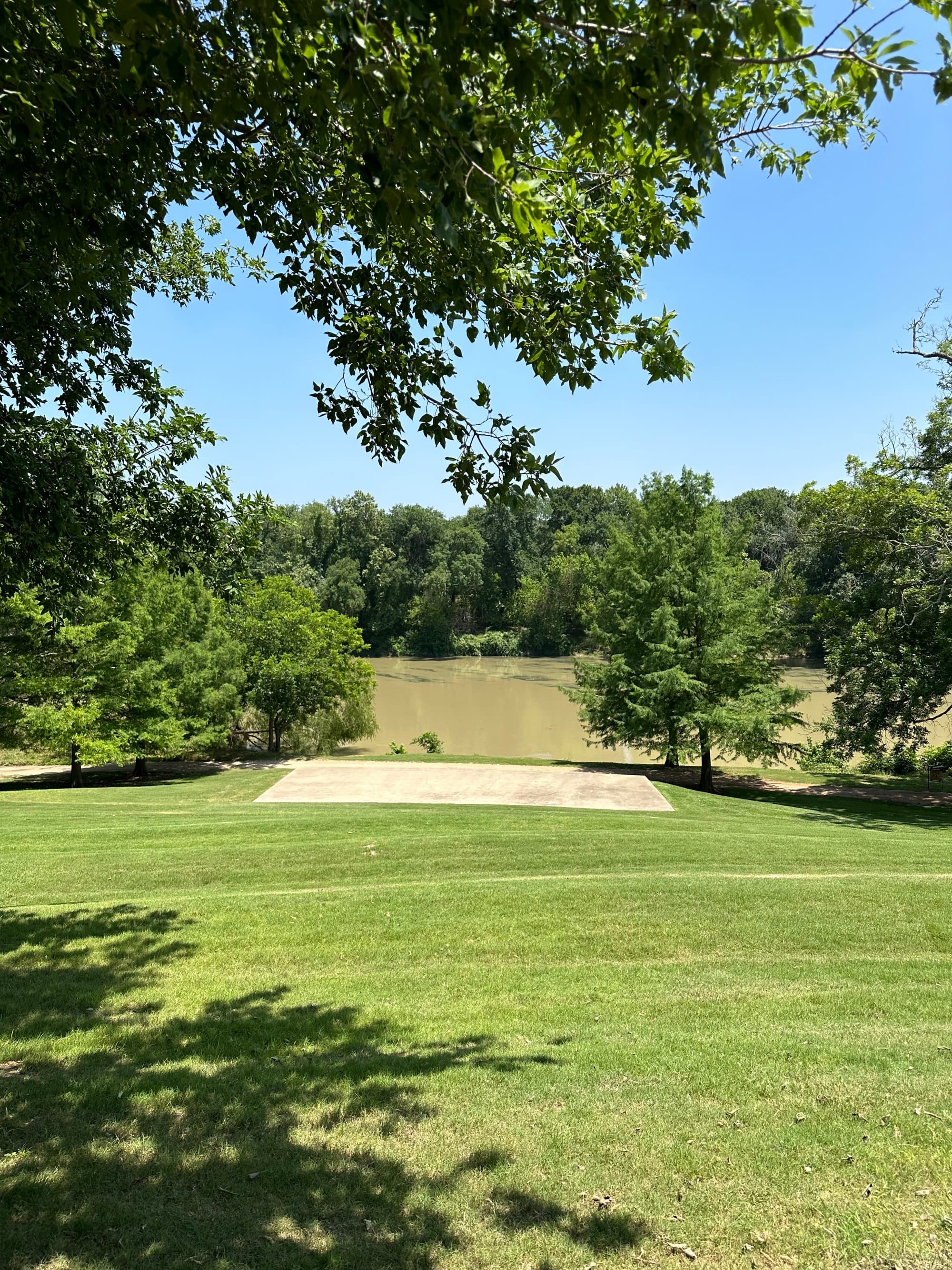 A lawn under trees during the daytime