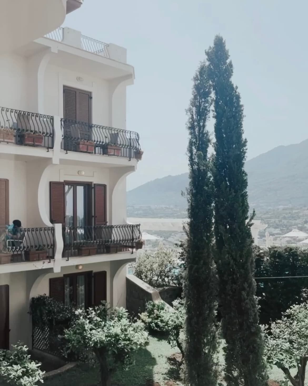 A view of the hotel grounds from a hotel window, with the a tree and mountains in the background.