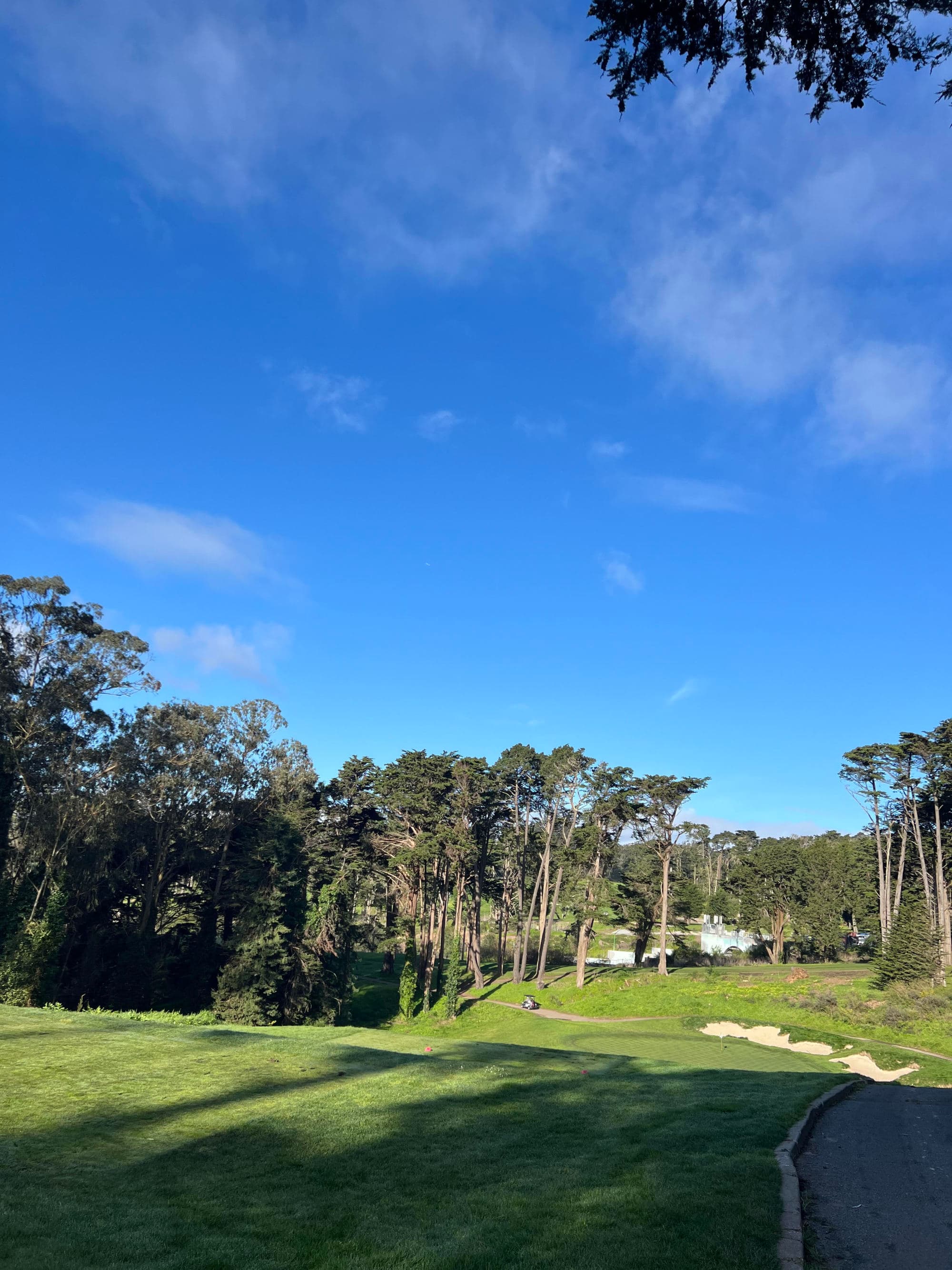 This image depicts a grassy lawn with a blue sky and trees in view.