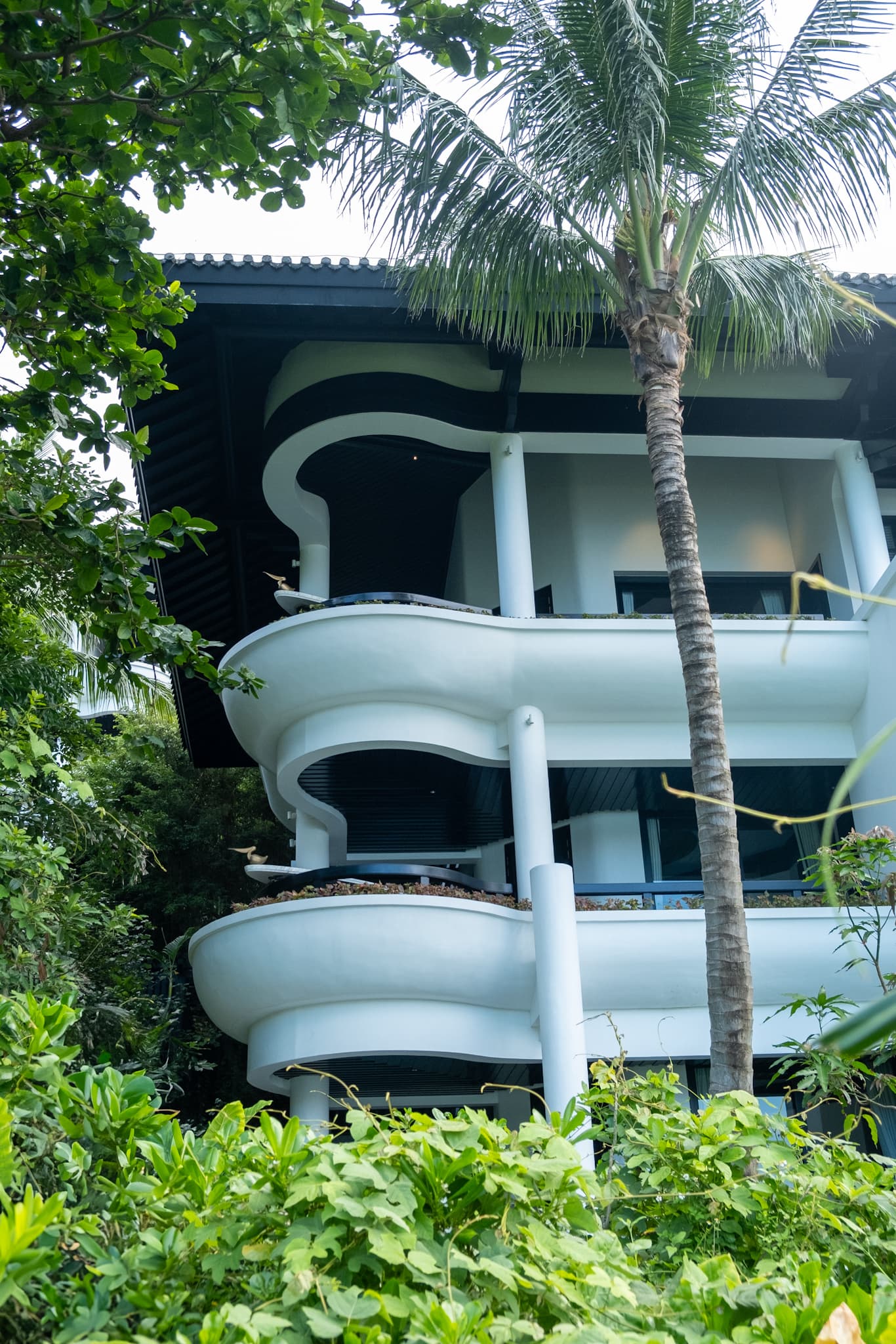 A two-story outdoor building with rounded white balconies set amongst greenery - Bailey Lammon