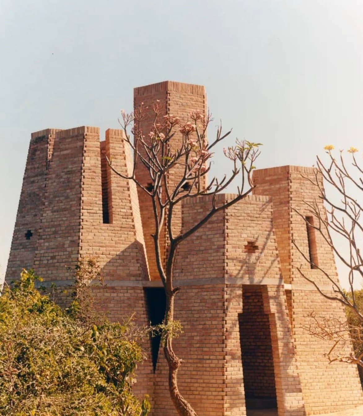 talk brick formations with leafless trees